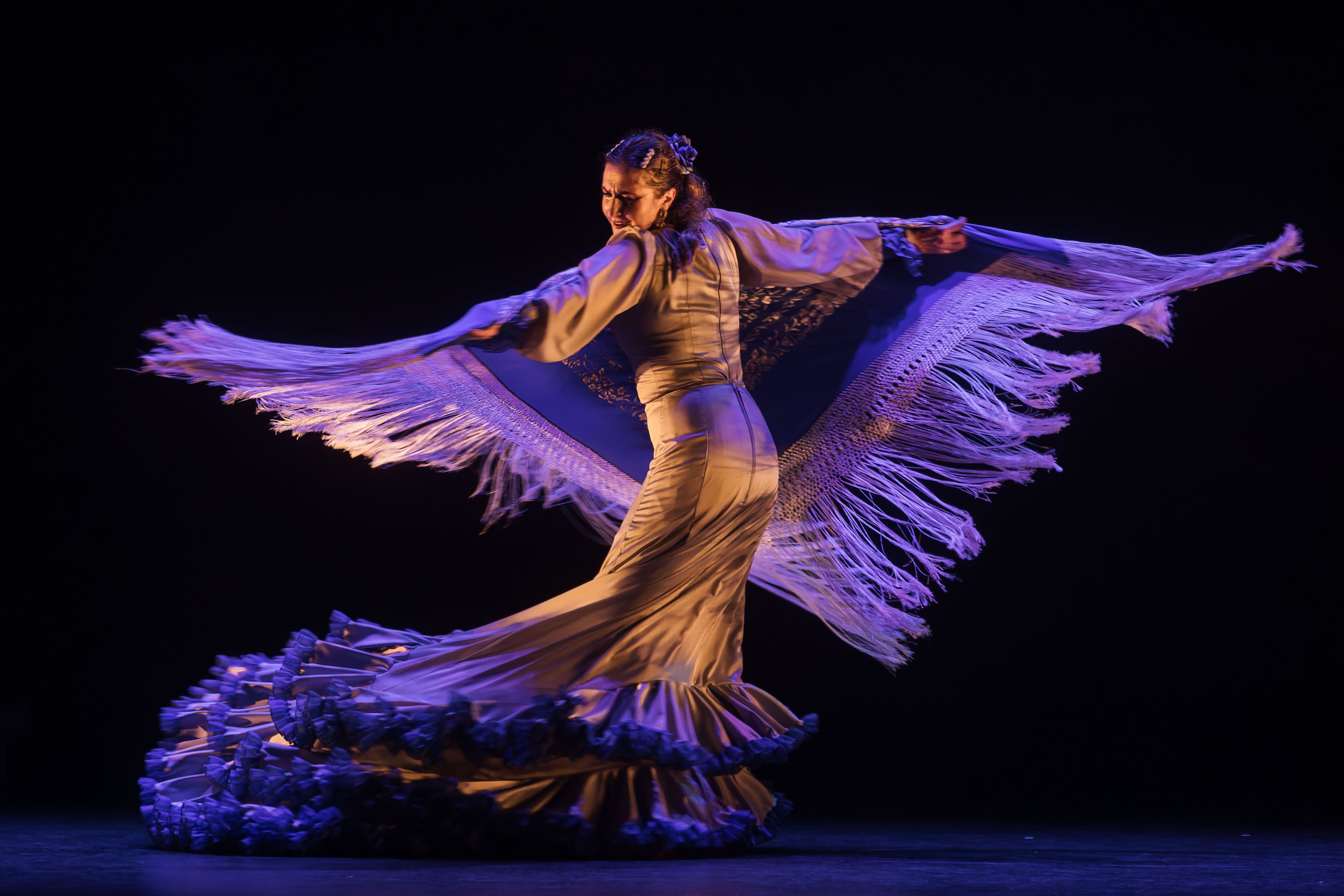 Compañía María José Franco 'Bailar para ser'