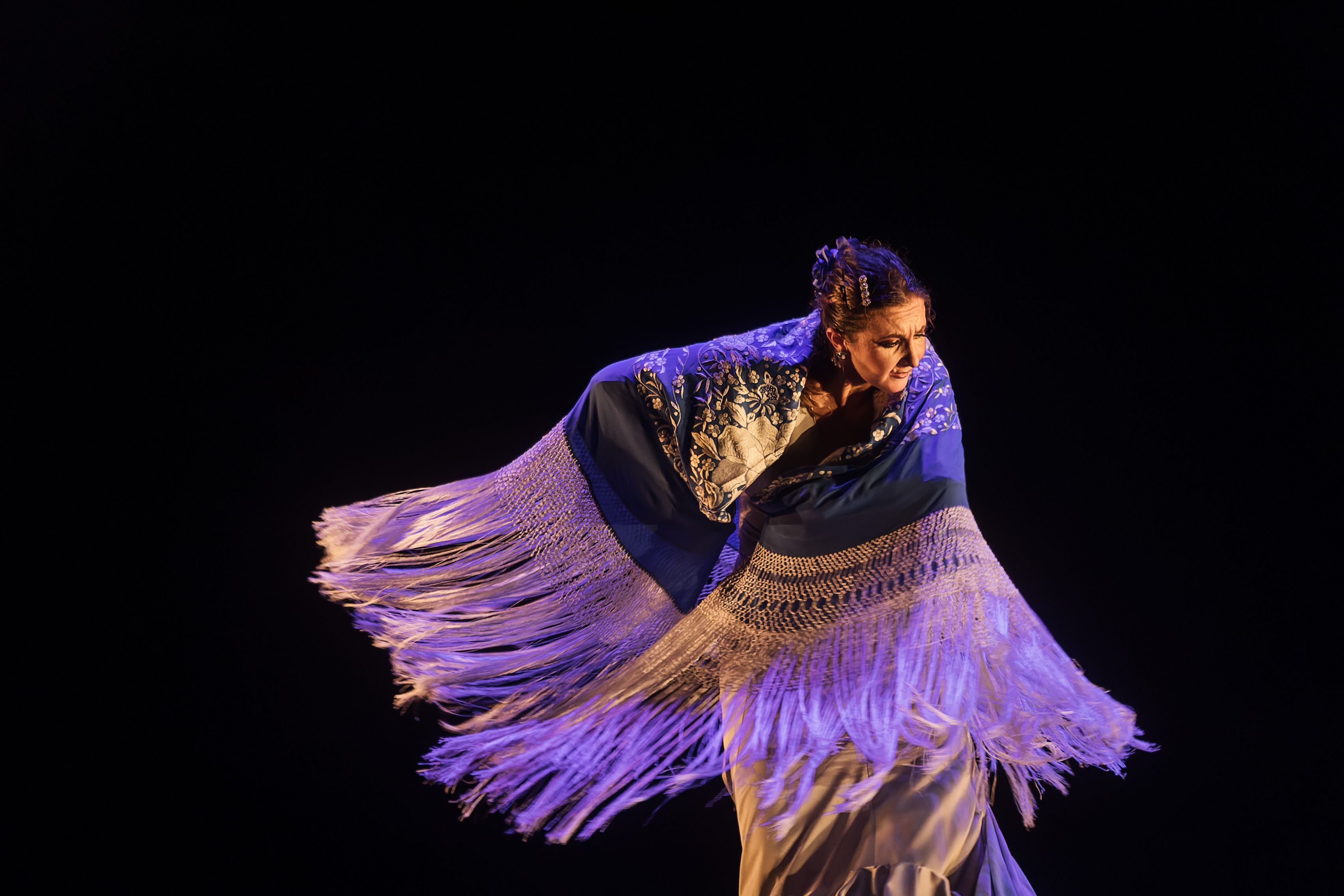 Compañía María José Franco 'Bailar para ser'