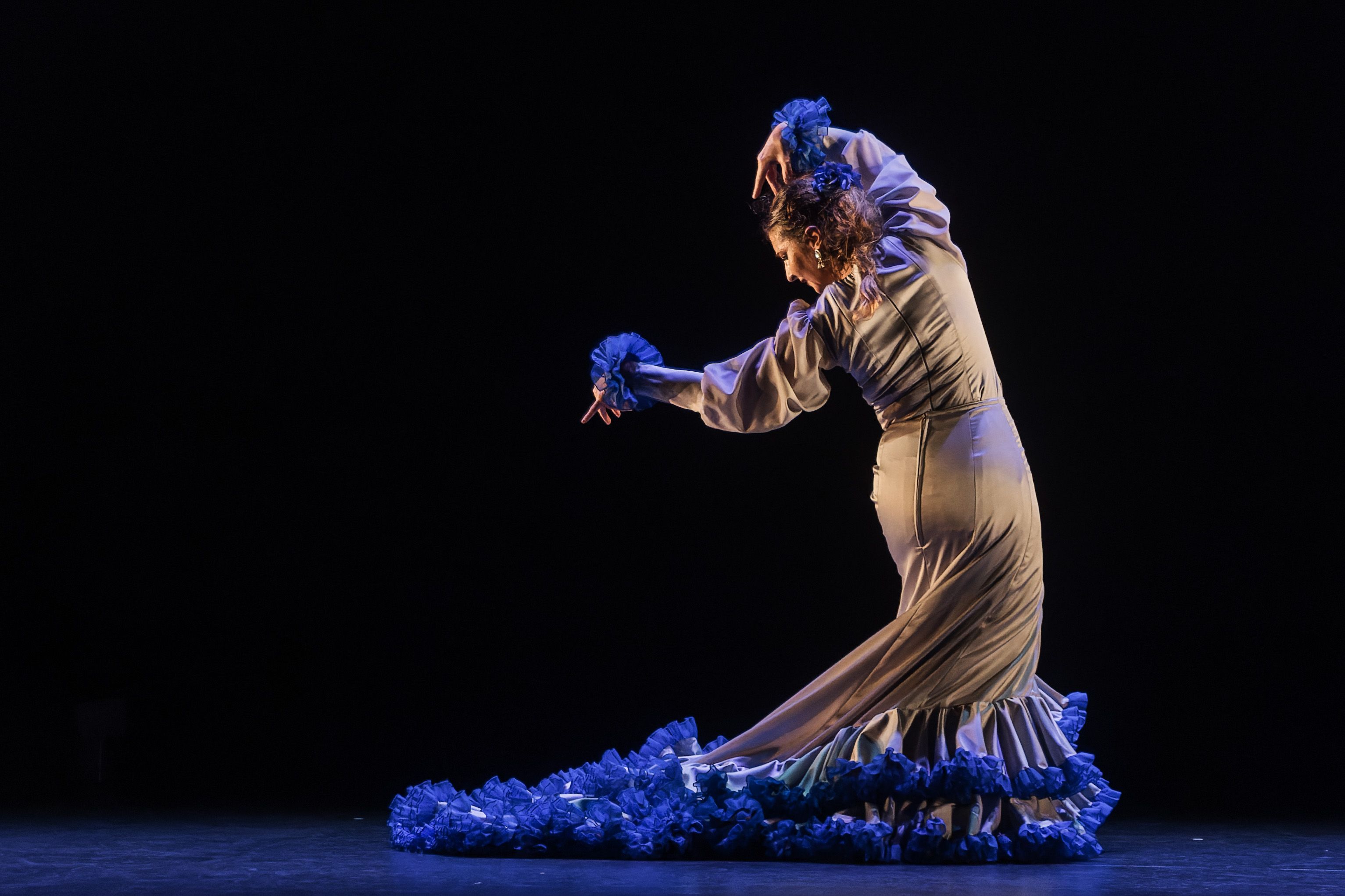 Compañía María José Franco 'Bailar para ser'