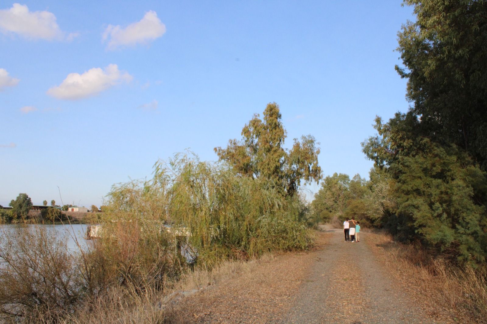 Un camino del Estuario del Guadalquivir, margen izquierda.