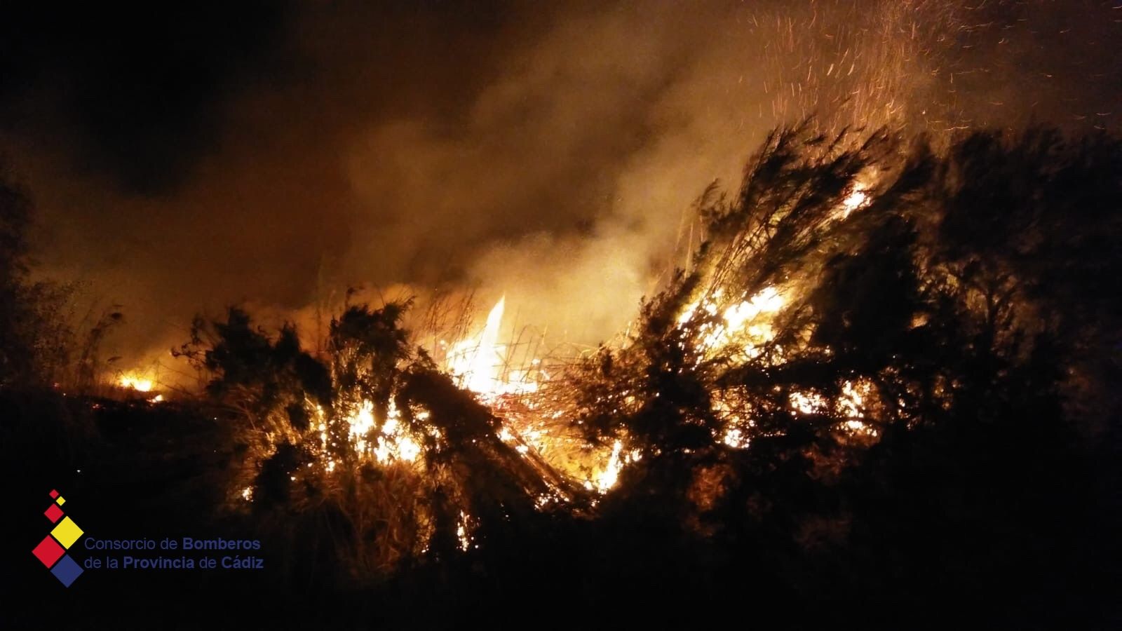 Un momento del incendio en Torrecera.
