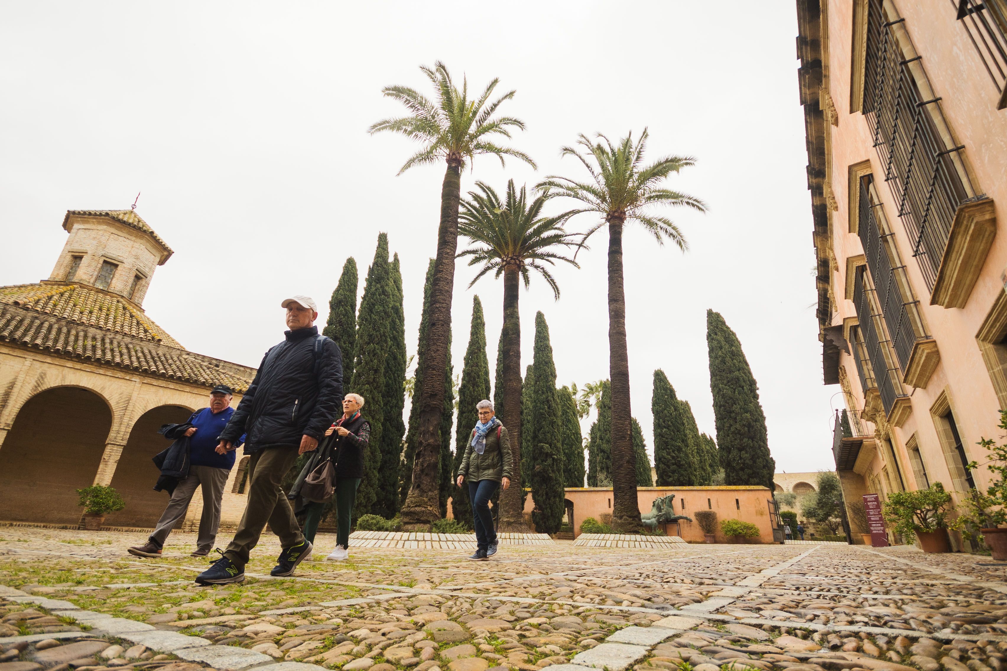 ¿Cuáles son los árboles más viejos del casco urbano de Jerez?: más de 90.000 ejemplares y 189 especies diferentes. En la imagen, las palmeras centenarias del Patio de Armas del Alcázar.