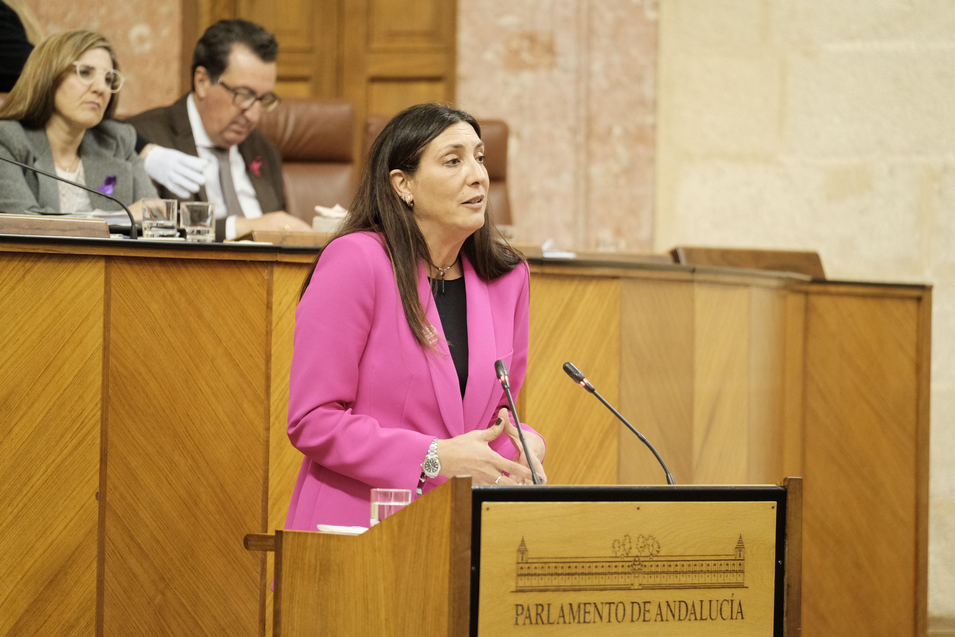 Loles López, consejera de Igualdad, durante su intervención en el Parlamento.