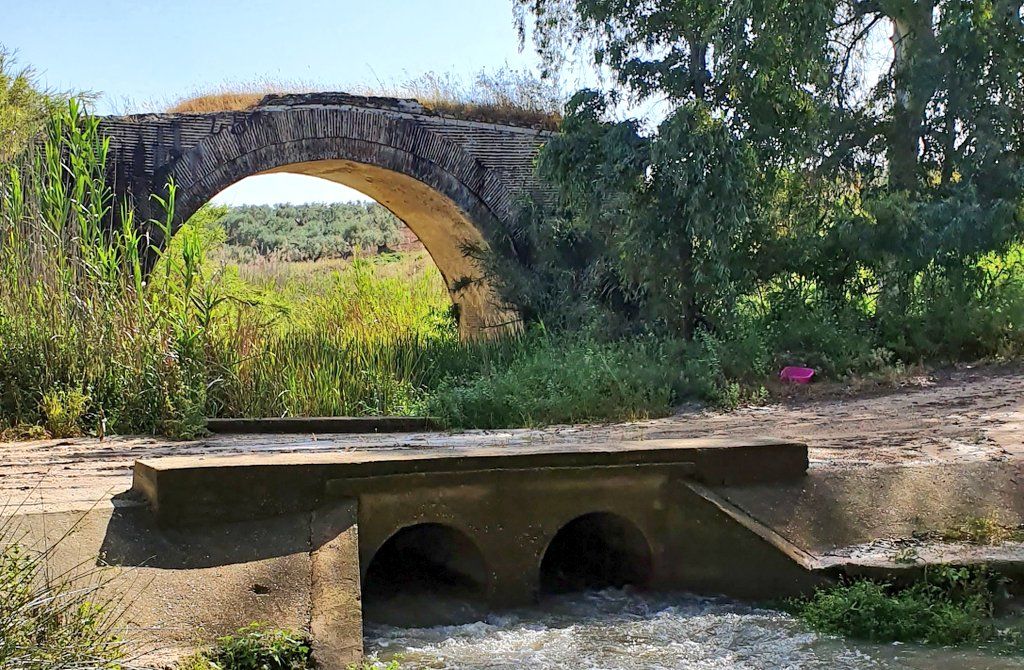 El Salado, uno de los arroyos contaminados.