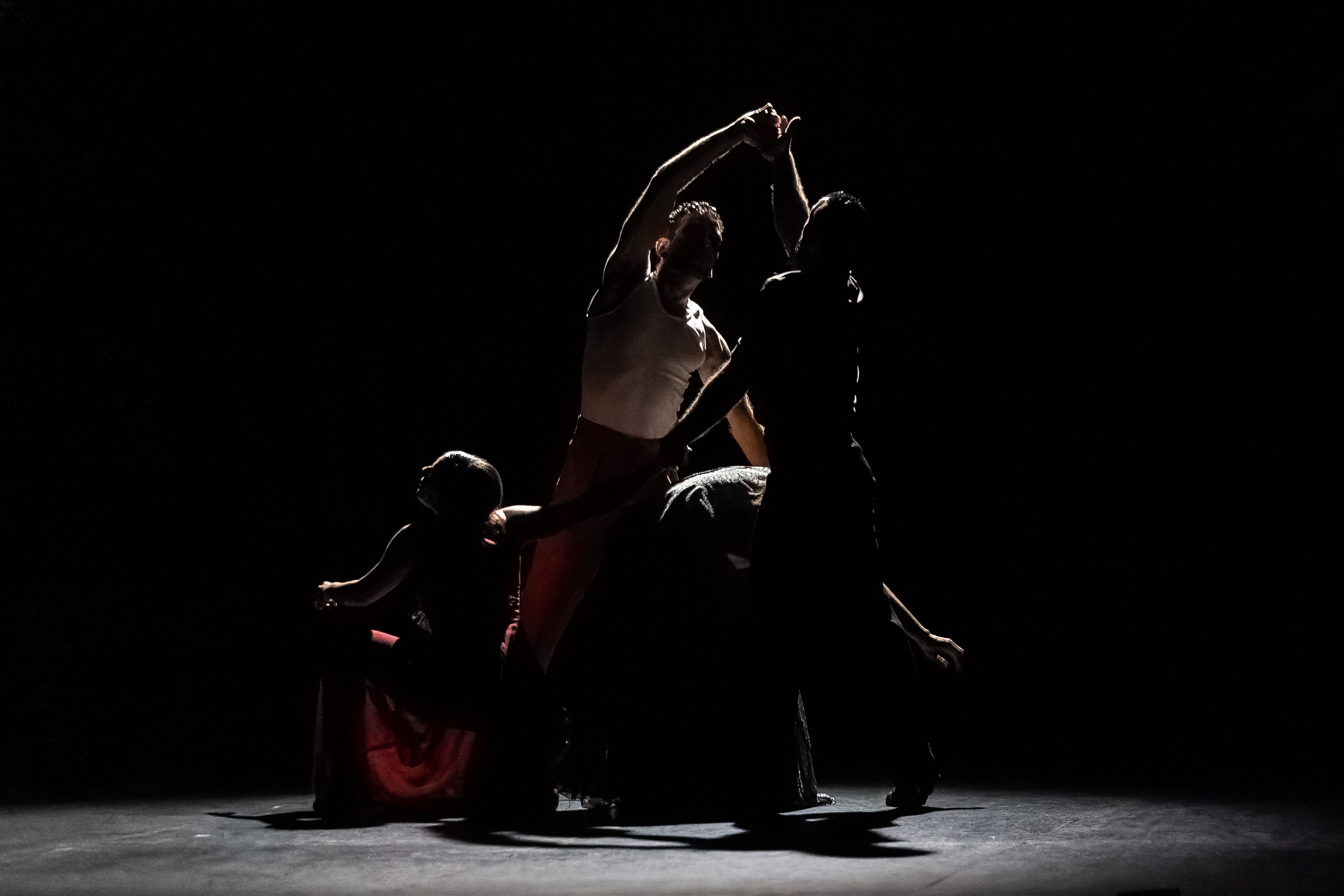 Compañía David Coria 'Los bailes robados. WORK IN PROGRESS'