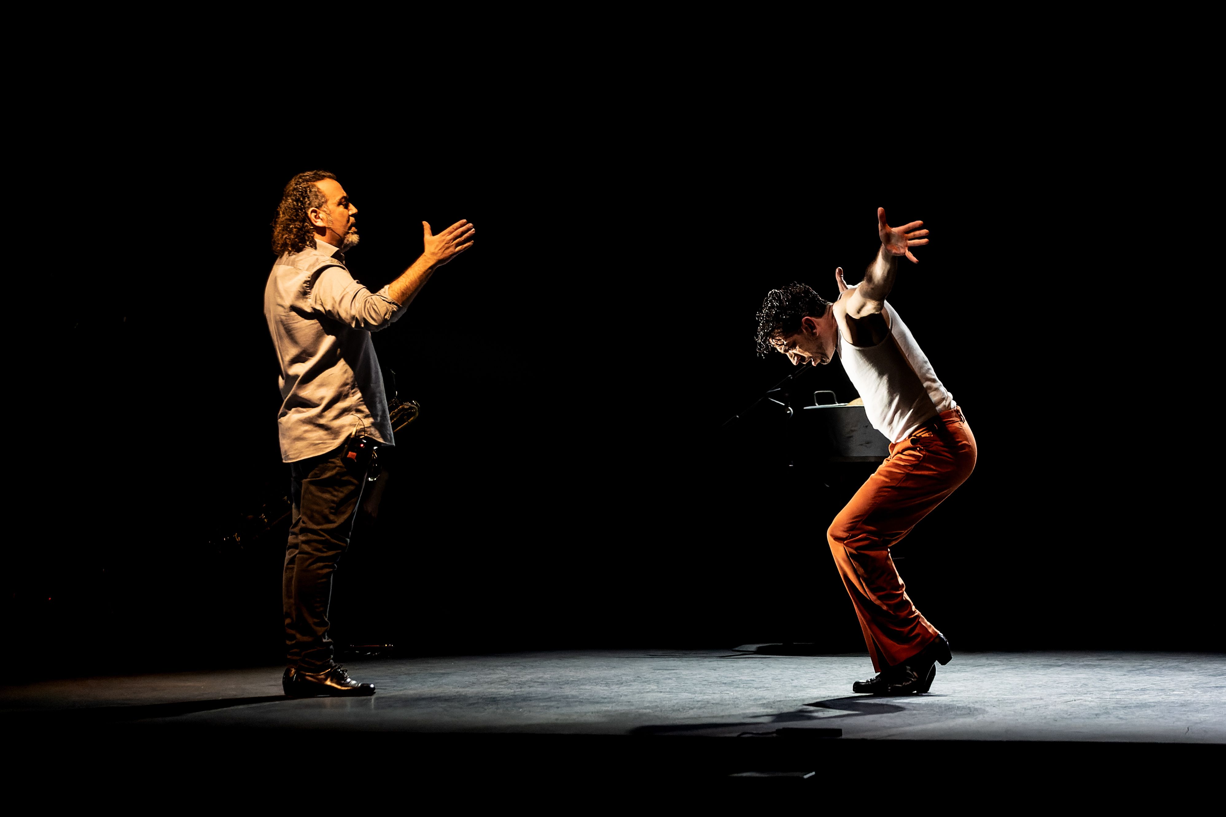 Compañía David Coria 'Los bailes robados. WORK IN PROGRESS'