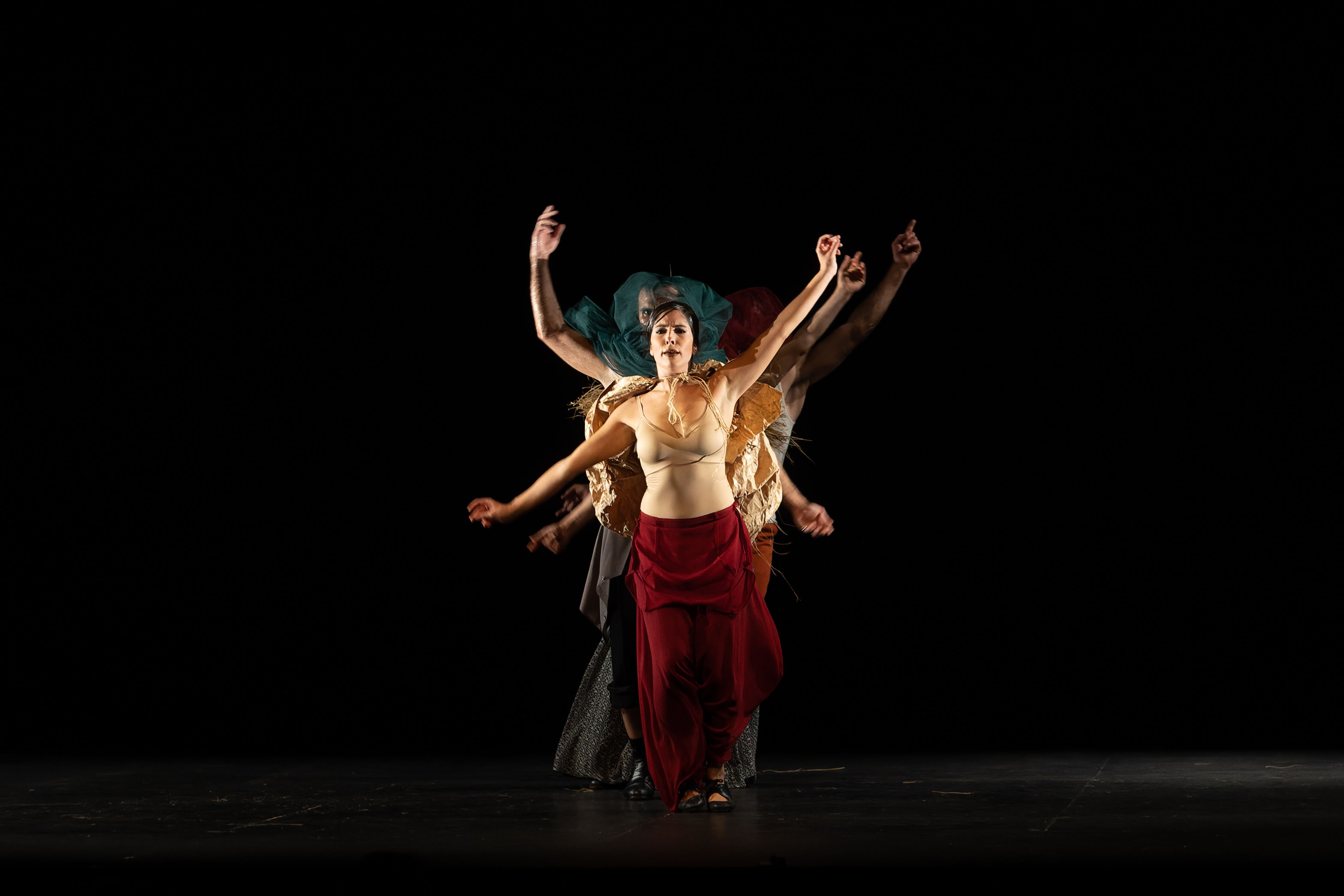 Compañía David Coria 'Los bailes robados. WORK IN PROGRESS'