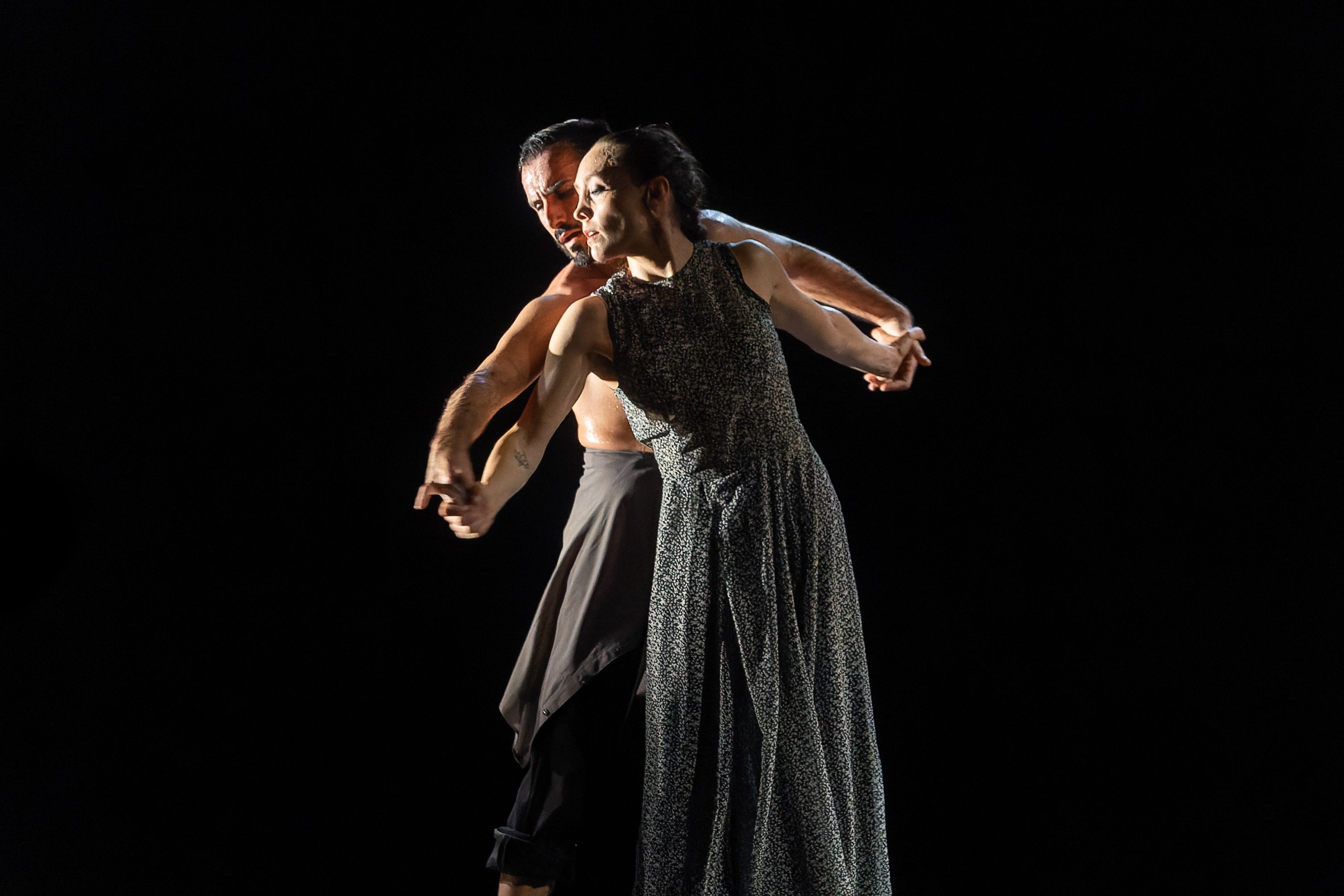 Compañía David Coria 'Los bailes robados. WORK IN PROGRESS'