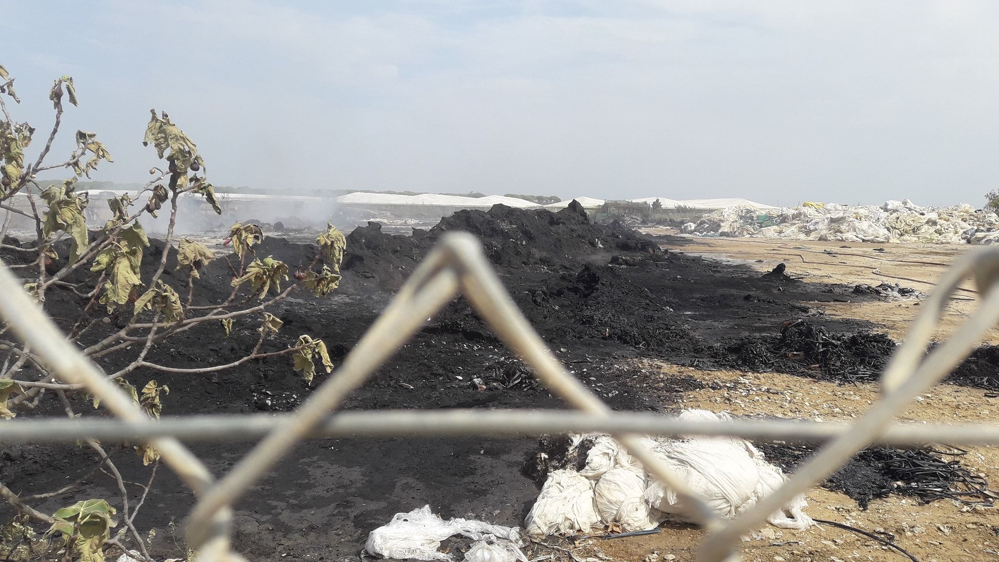 El vertedero de residuos agrícolas de Monte Algaida, pasto de las llamas, en una imagen de archivo.