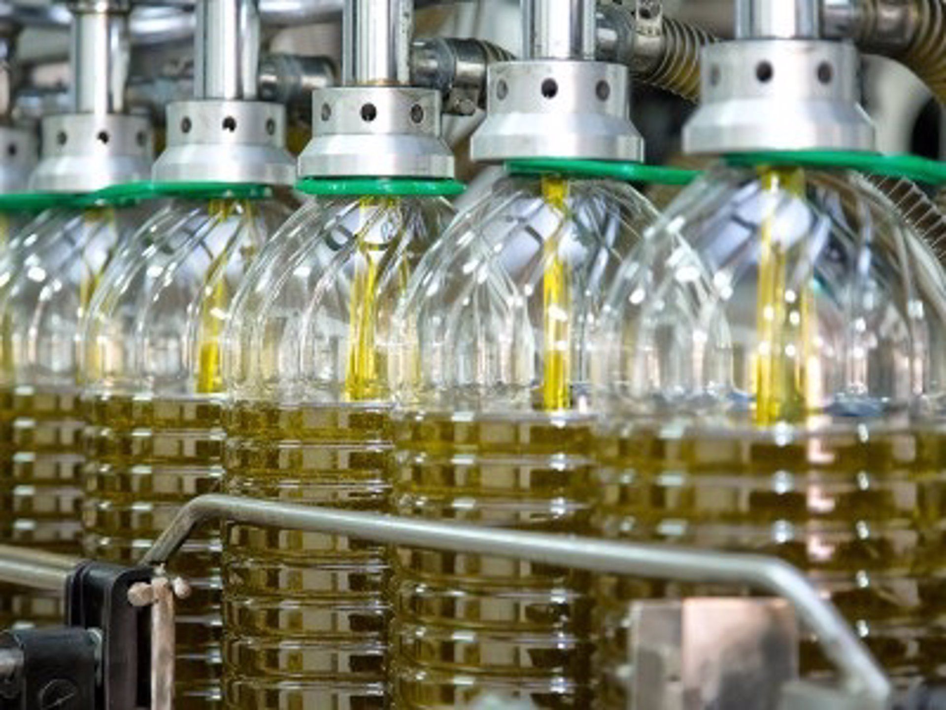 Botellas de aceite de oliva en una imagen de archivo. 