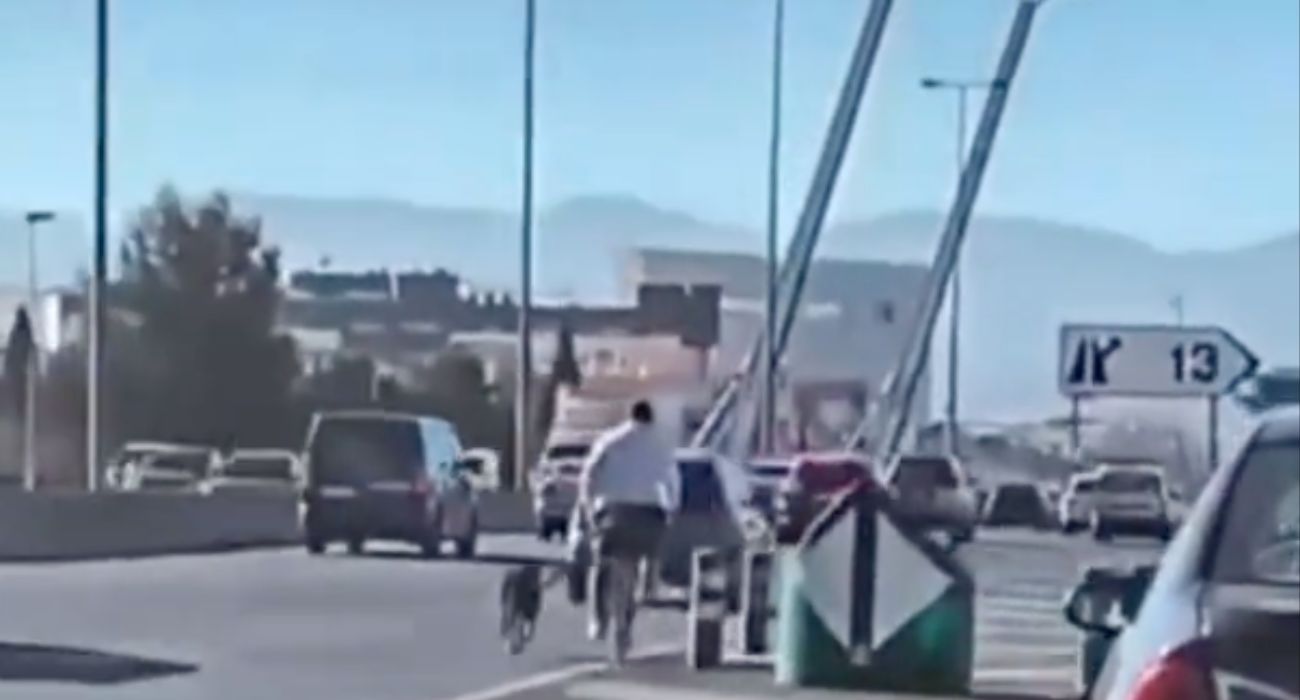 Un hombre pasea tranquilamente en bicicleta a su perro por la autovía.   @SOCIALDRIVE_ES