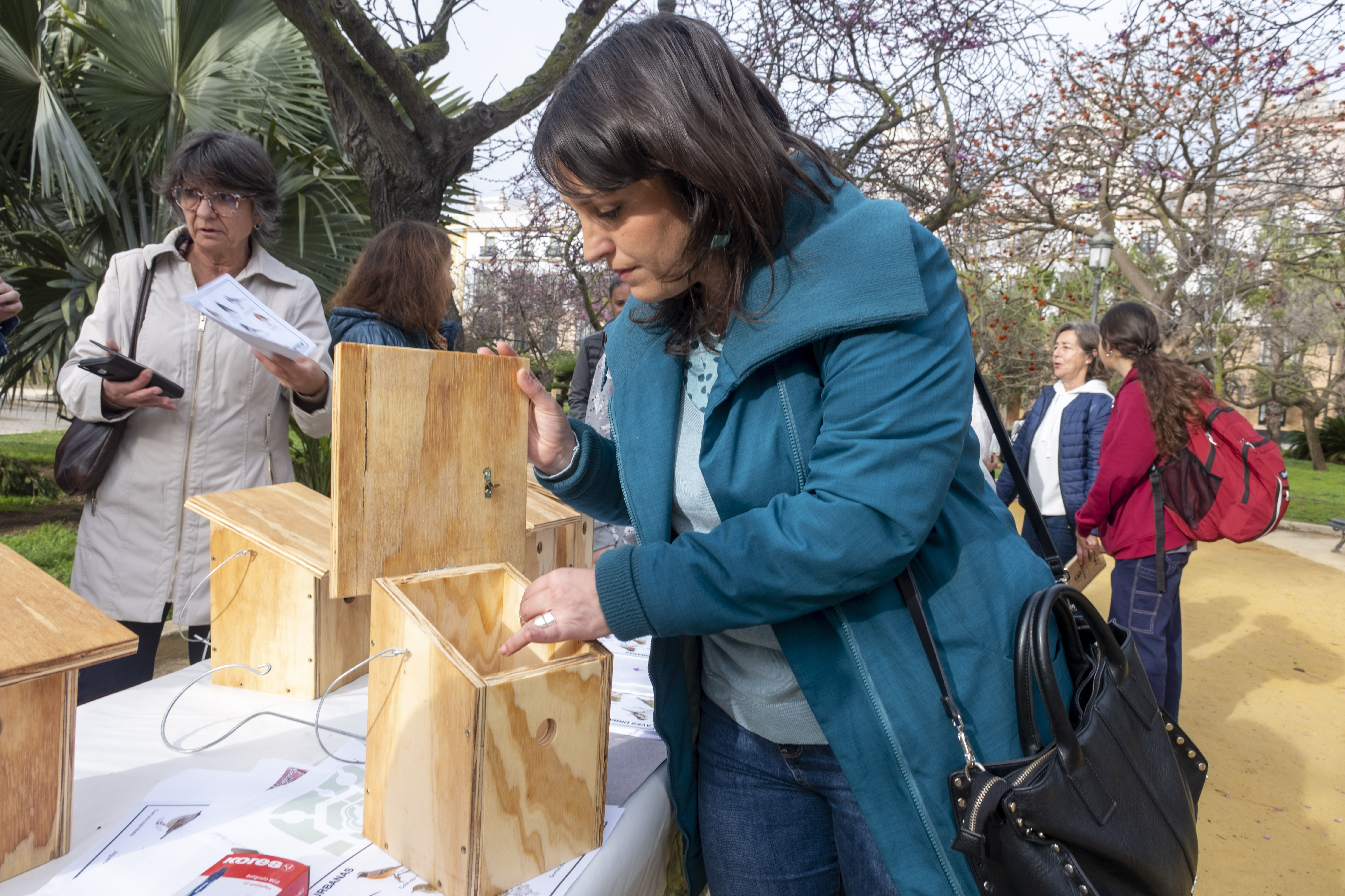 Colocación de cajas nido en Cádiz.
