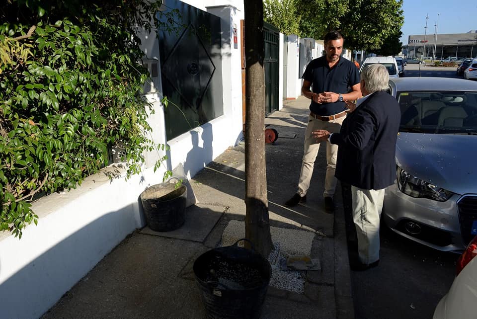 Díaz, en una de las actuaciones en los alcorques.