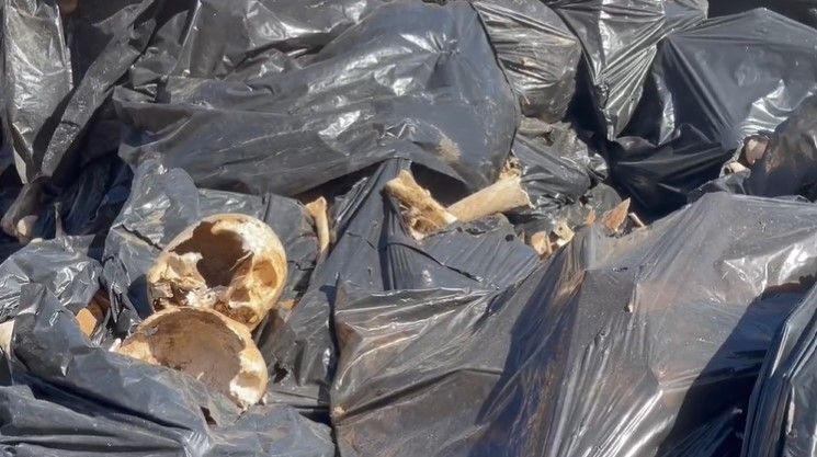 Restos humanos en el cementerio de Sevilla.