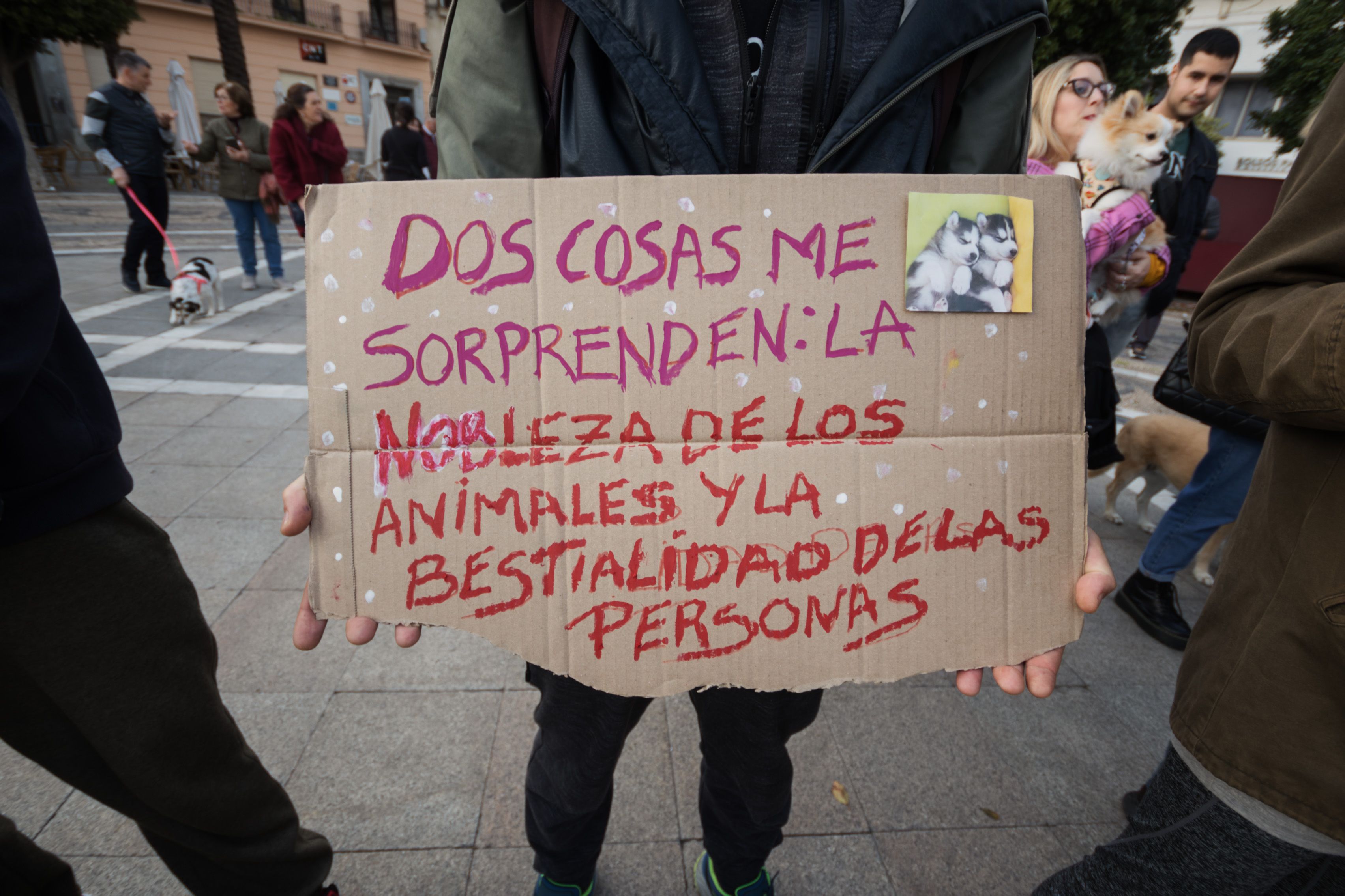 Concentración animalista "Justicia par Oddie"