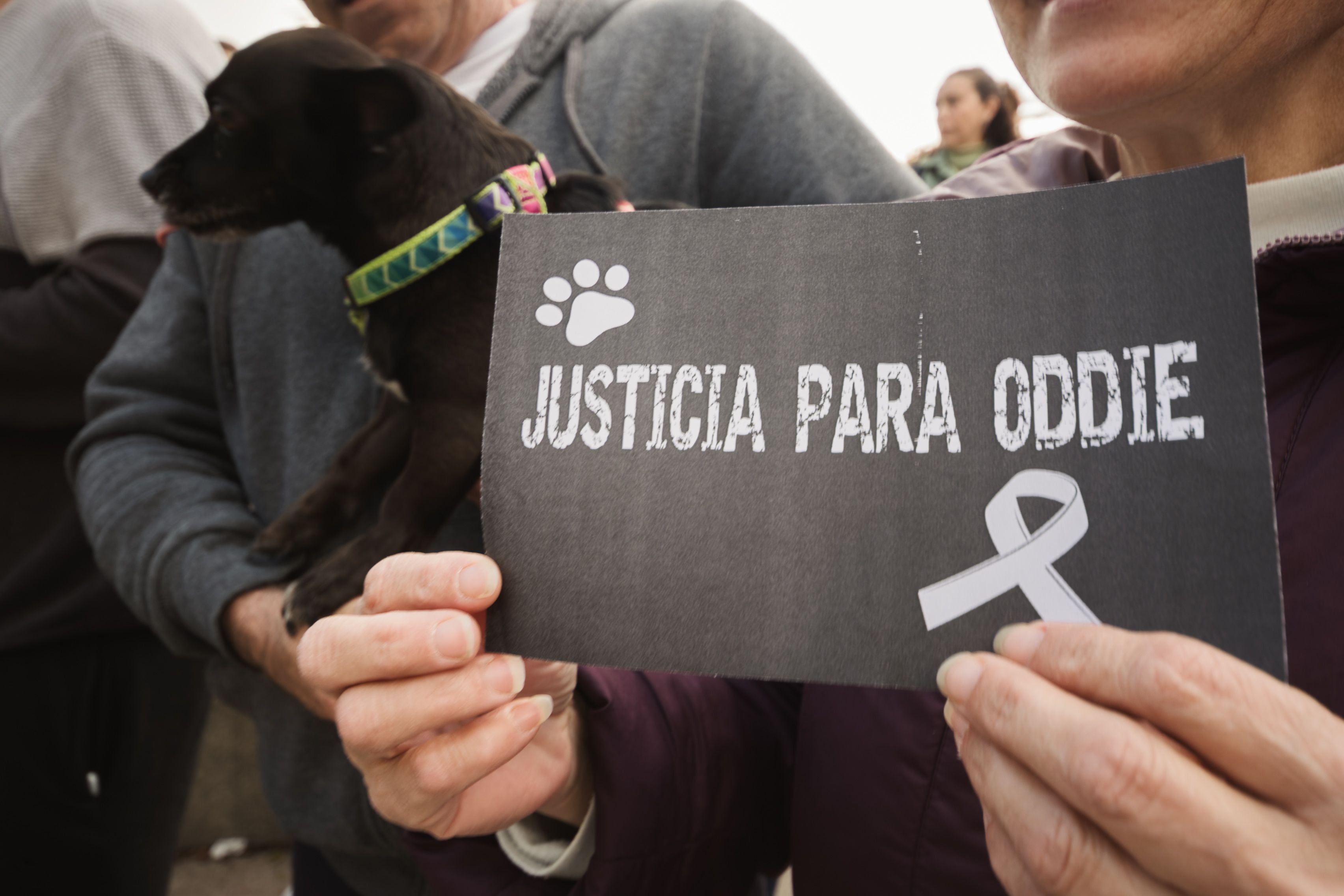 Concentración animalista "Justicia par Oddie"