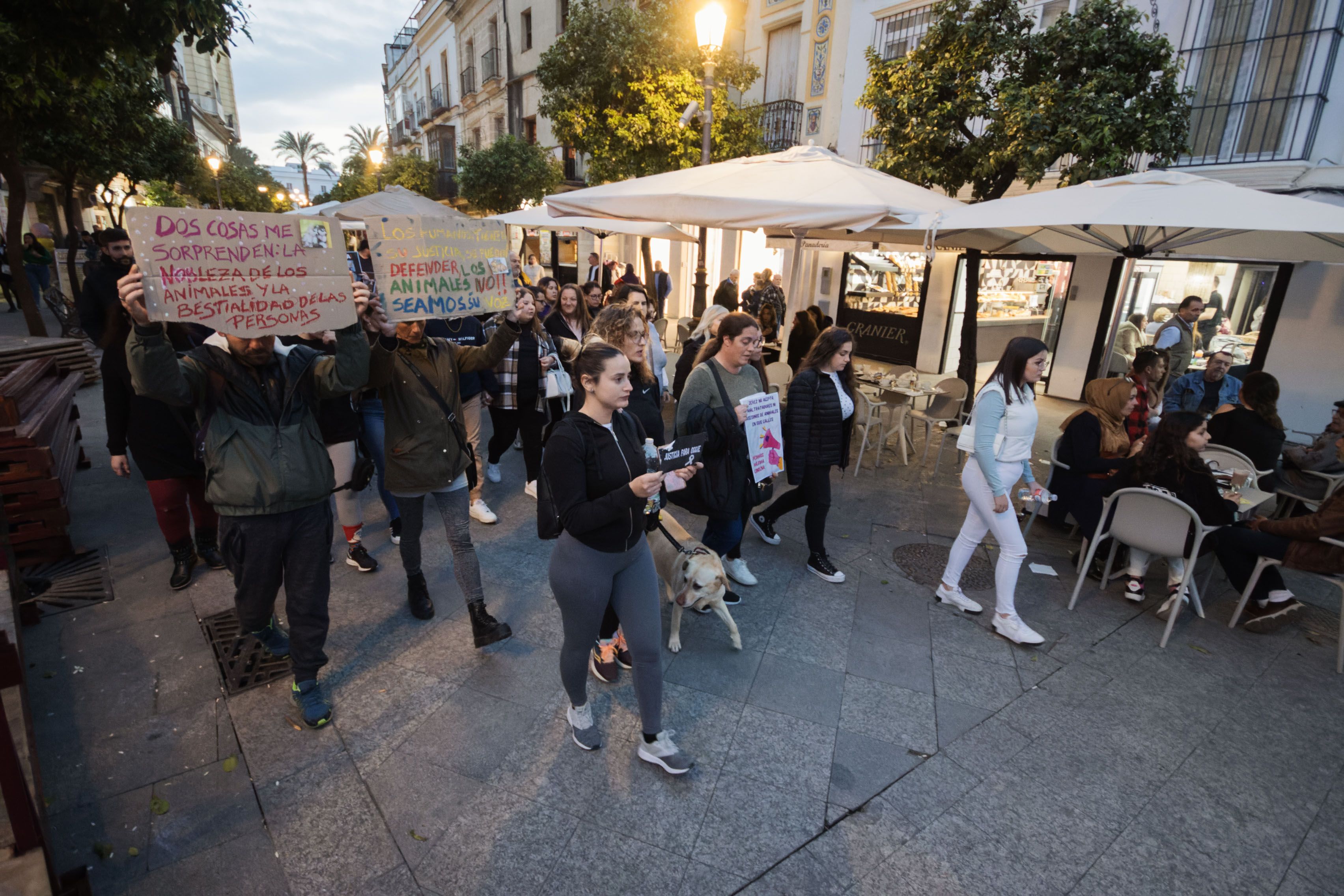 Concentración animalista "Justicia par Oddie"
