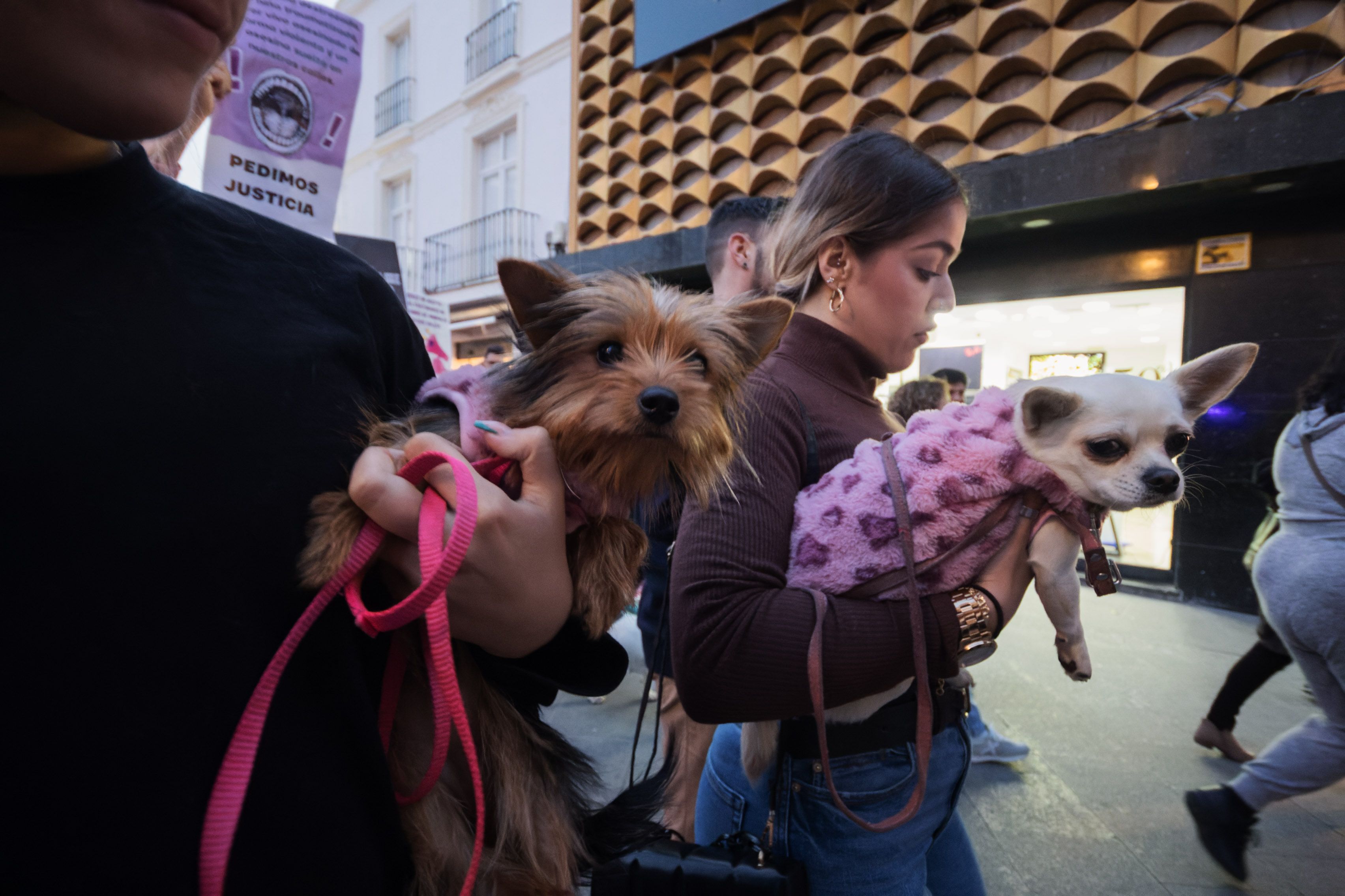 Concentración animalista "Justicia par Oddie"