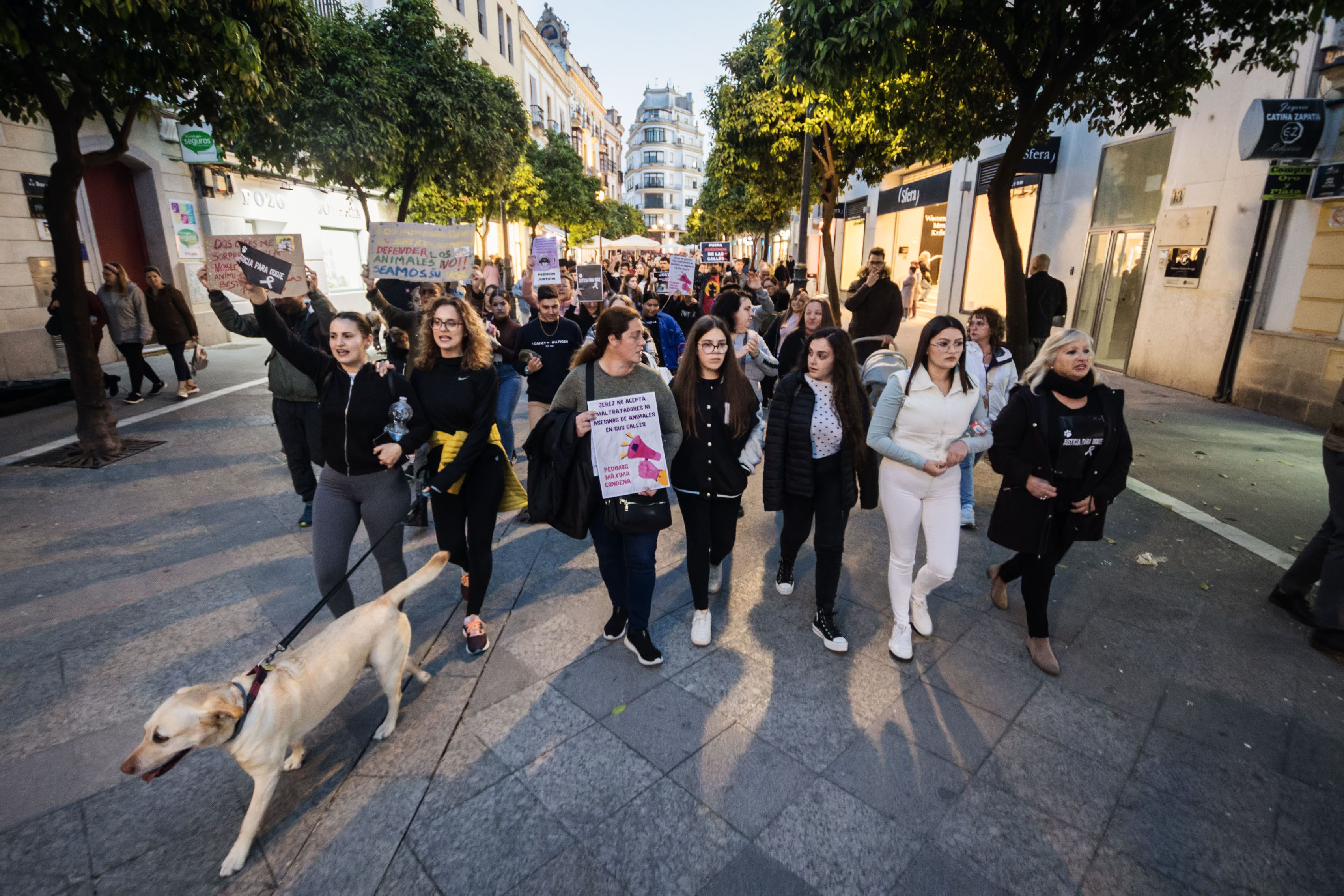 Concentración animalista "Justicia par Oddie"