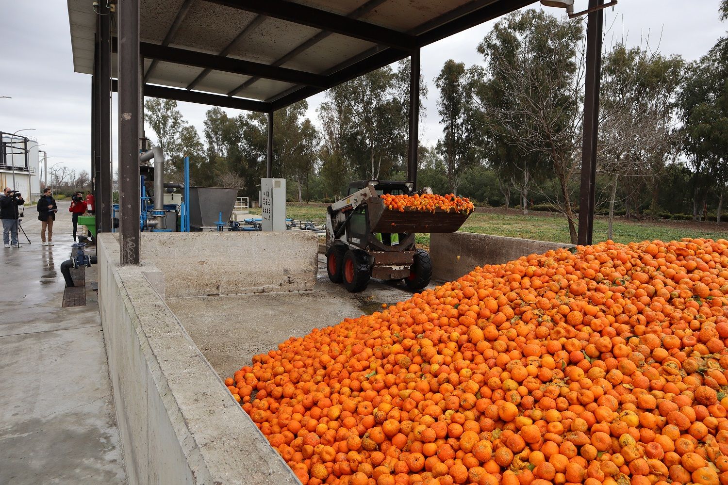 Las naranjas amargas de Sevilla generan energía equivalente al consumo en 5.561 viviendas. Imagen en la EDAR de Emasesa.