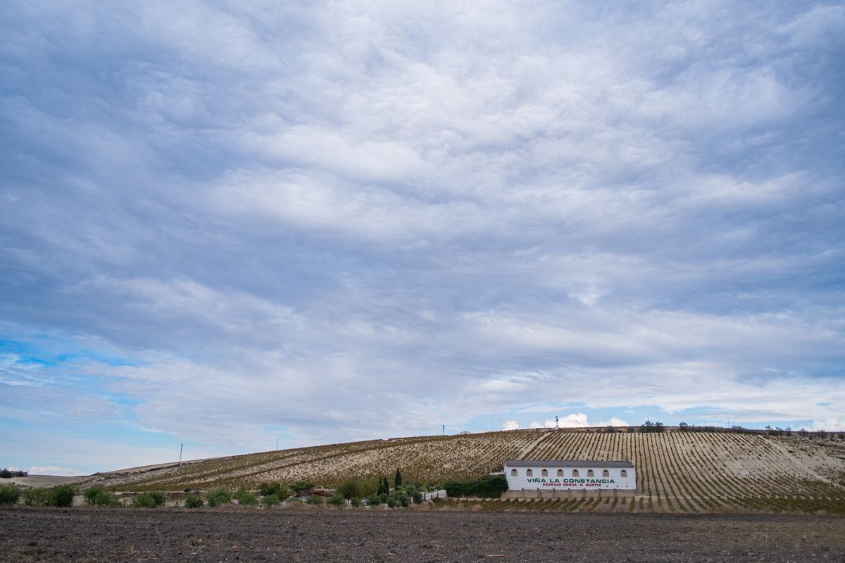 La bodega Viña La Constancia, en una imagen reciente. FOTO: MANU GARCÍA