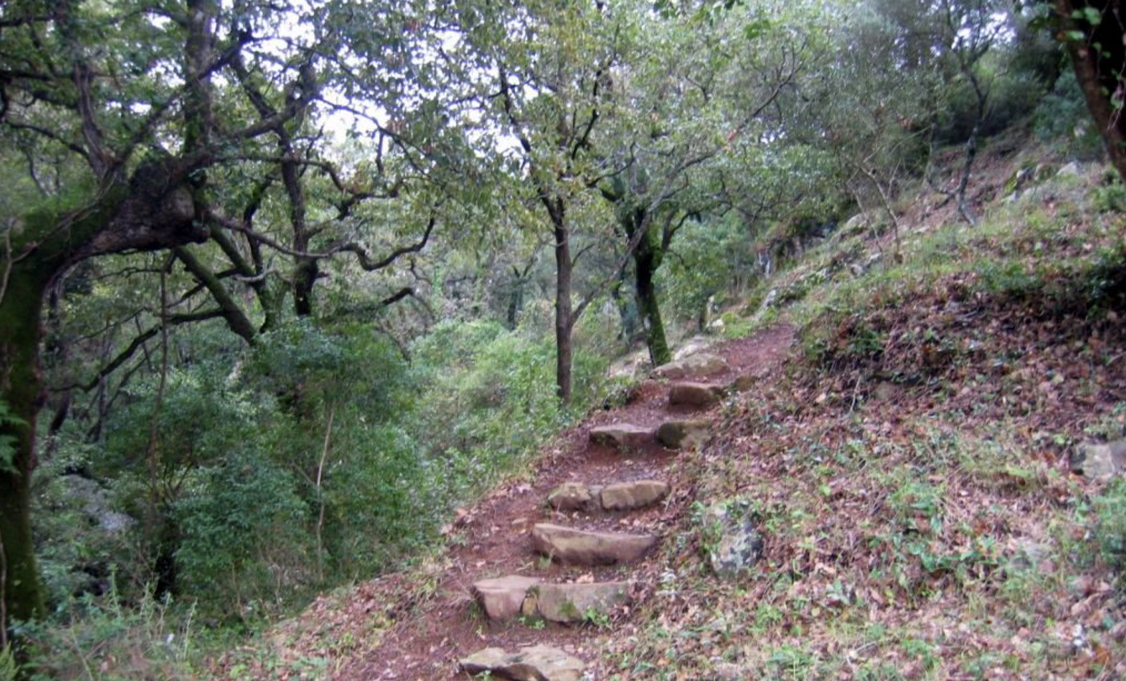 arroyo san carlos del tiradero los barrios