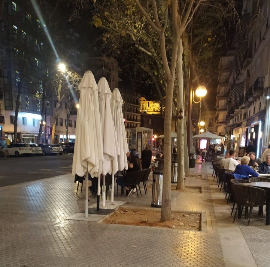 Foto de Reyes Católicos compartida por Adepa.