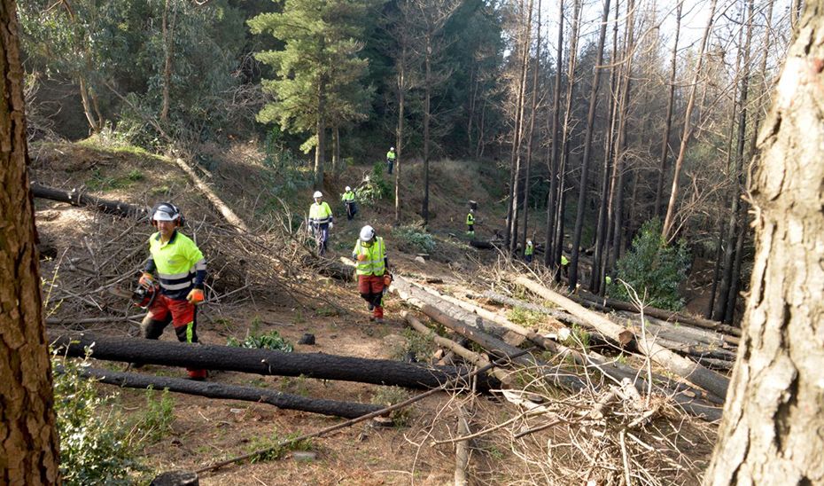 El presupuesto para 2023 destinado a la lucha contra los incendios forestales en materia de prevención y extinción asciende a 223 millones de euros.