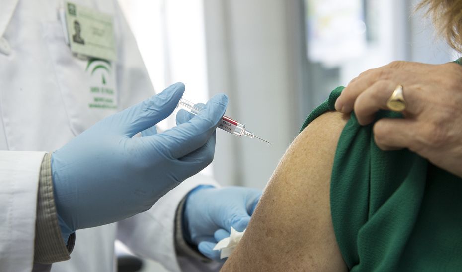 La campaña de vacunación de la gripe se extenderá hasta el primer trimestre de 2020.