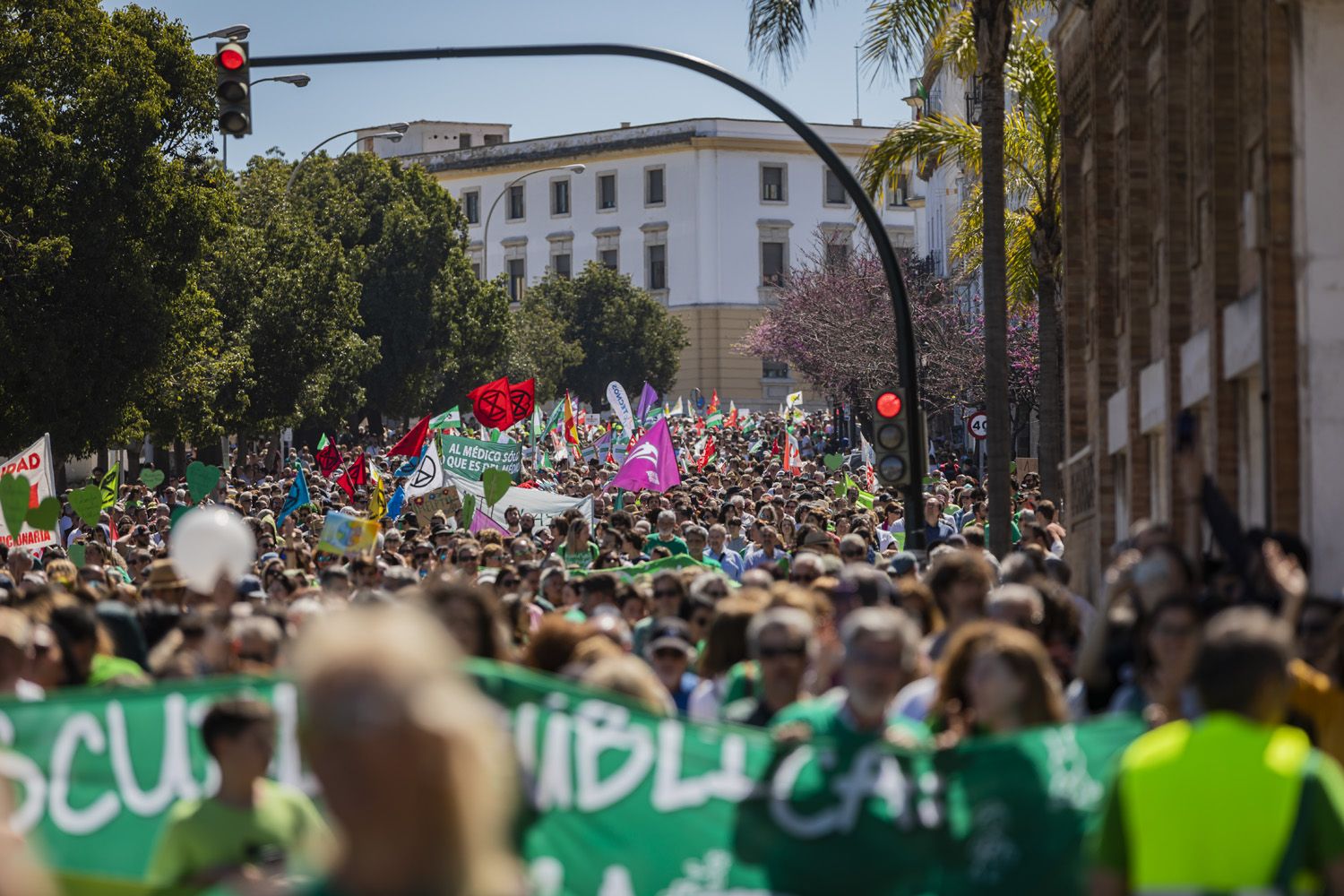 La manifestación en defensa de la educación pública en Cádiz, en un momento de su avance.