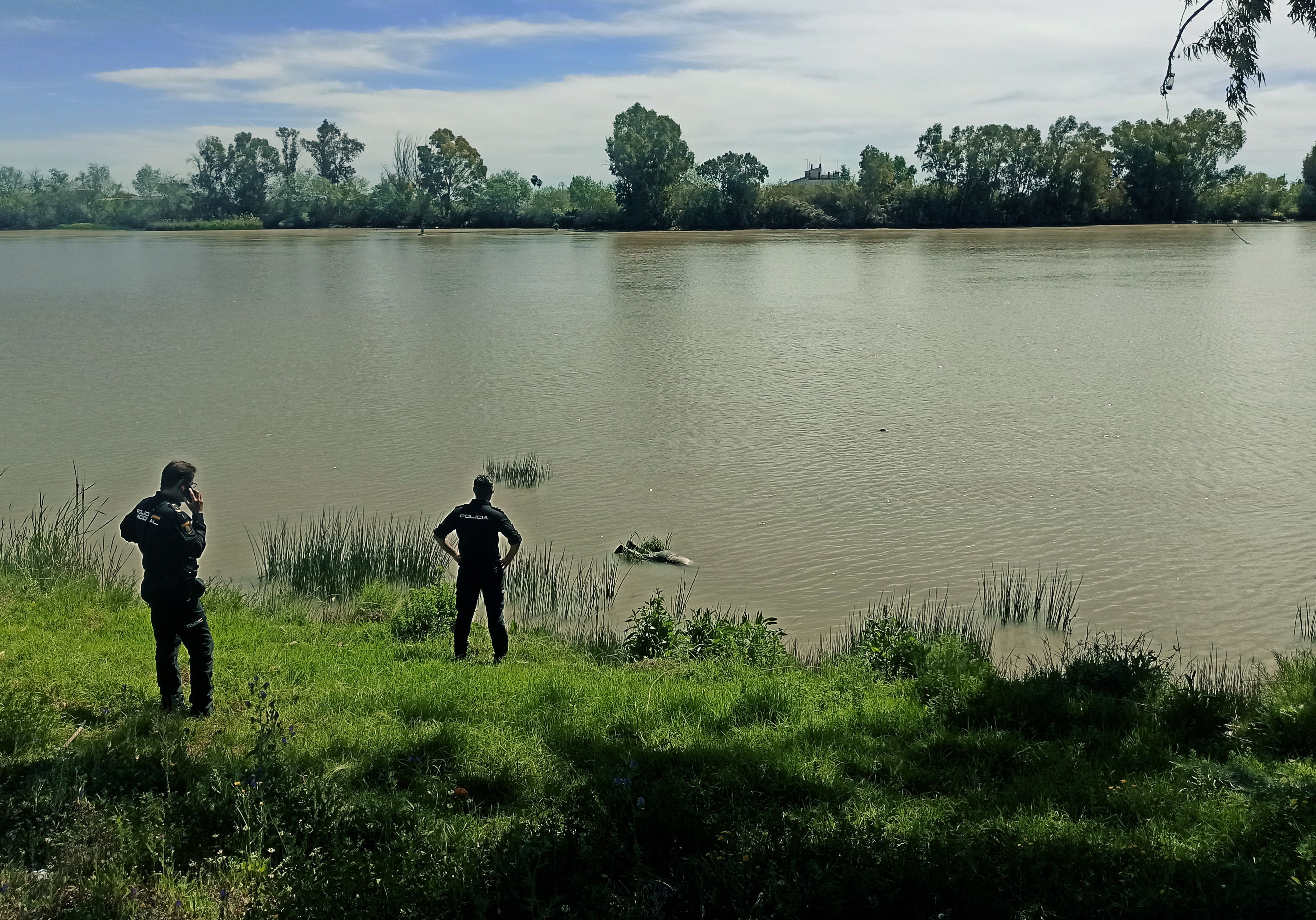 Zona en la que ha sido recuperado el cadáver del hombre, en el Guadalquivir a la altura de Coria del Río.