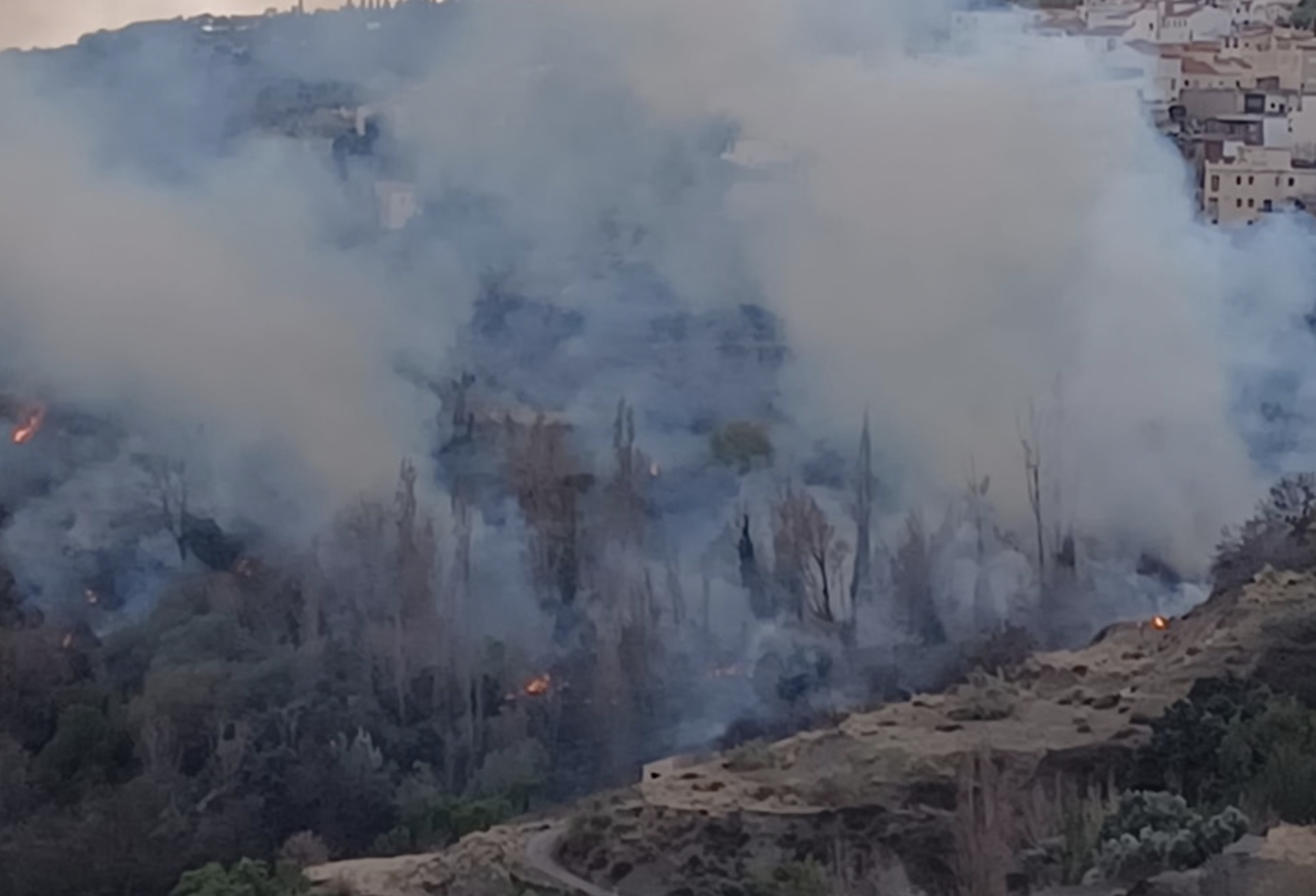 Las llamas y una columna de humo procedentes del incendio, muy cerca del pueblo ubicado en la Alpujarra de Almería.
