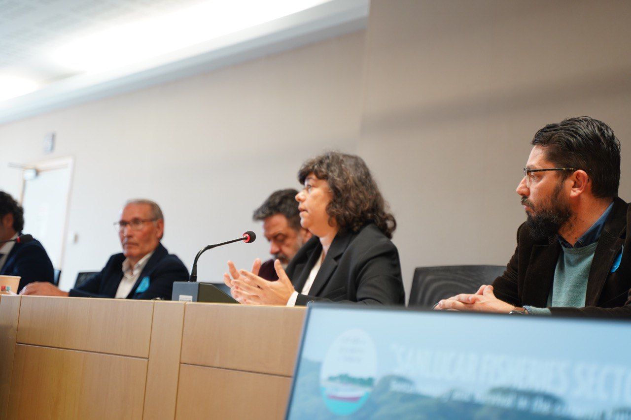 Carmen Álvarez, junto a Jorge Rodríguez, Manu Pineda (IU) y Antonio Romero, en su intervención durante la reunión con DGMare.