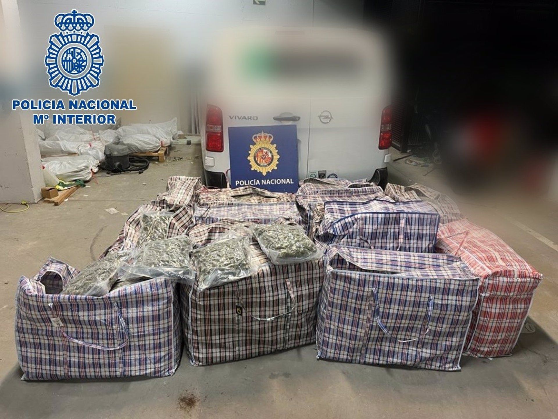 Descubren un laboratorio en Sanlúcar dedicado a mandar marihuana a países como Alemania.