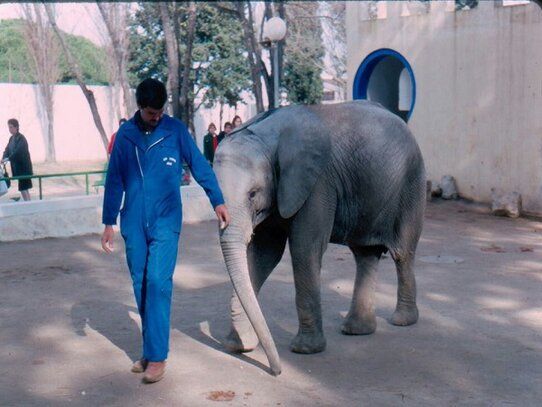 csm buba1 01 55aa6b8253