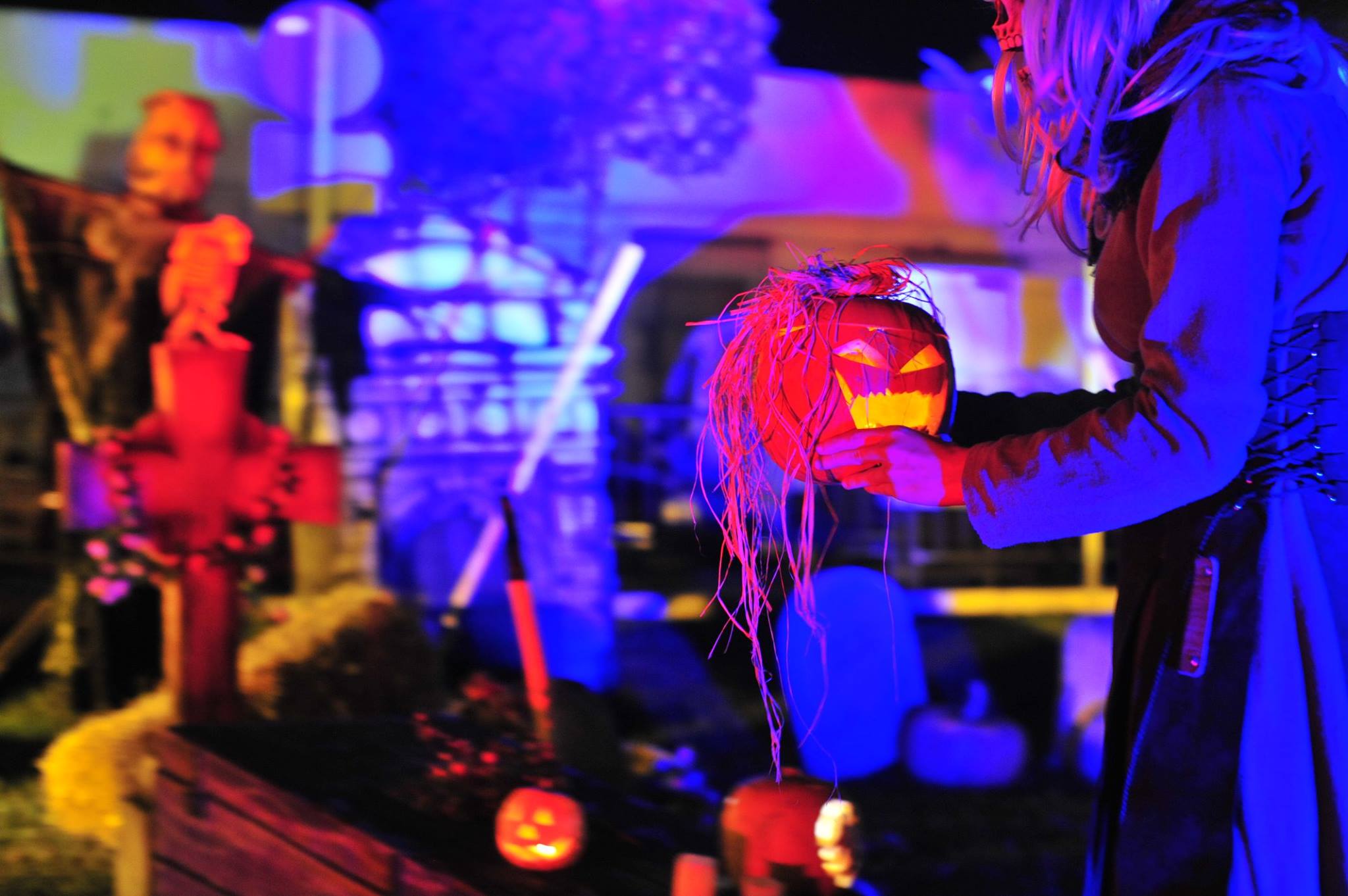 45378483_2494205137286567_2772290841404768256_o