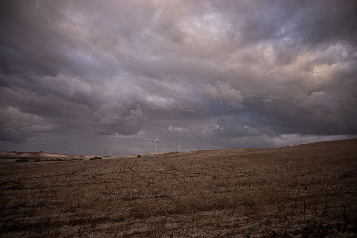 Molinos eólicos en un campo árido de la provincia de Cádiz.