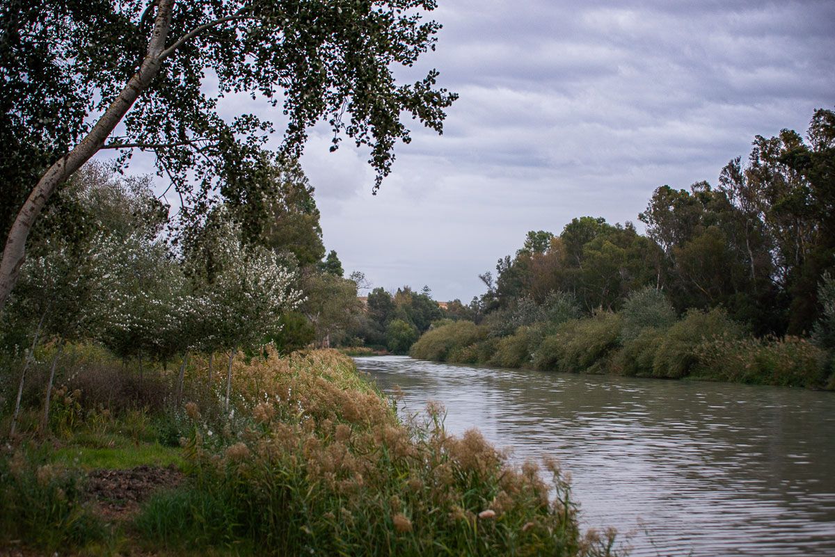 El río Guadalete, a su paso por La Corta.