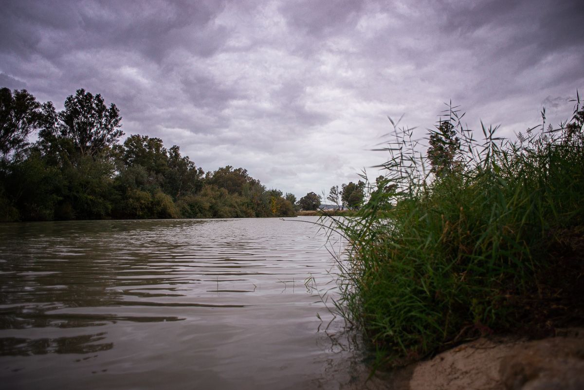 El río Guadalete, a su paso por La Corta, en una imagen de archivo.