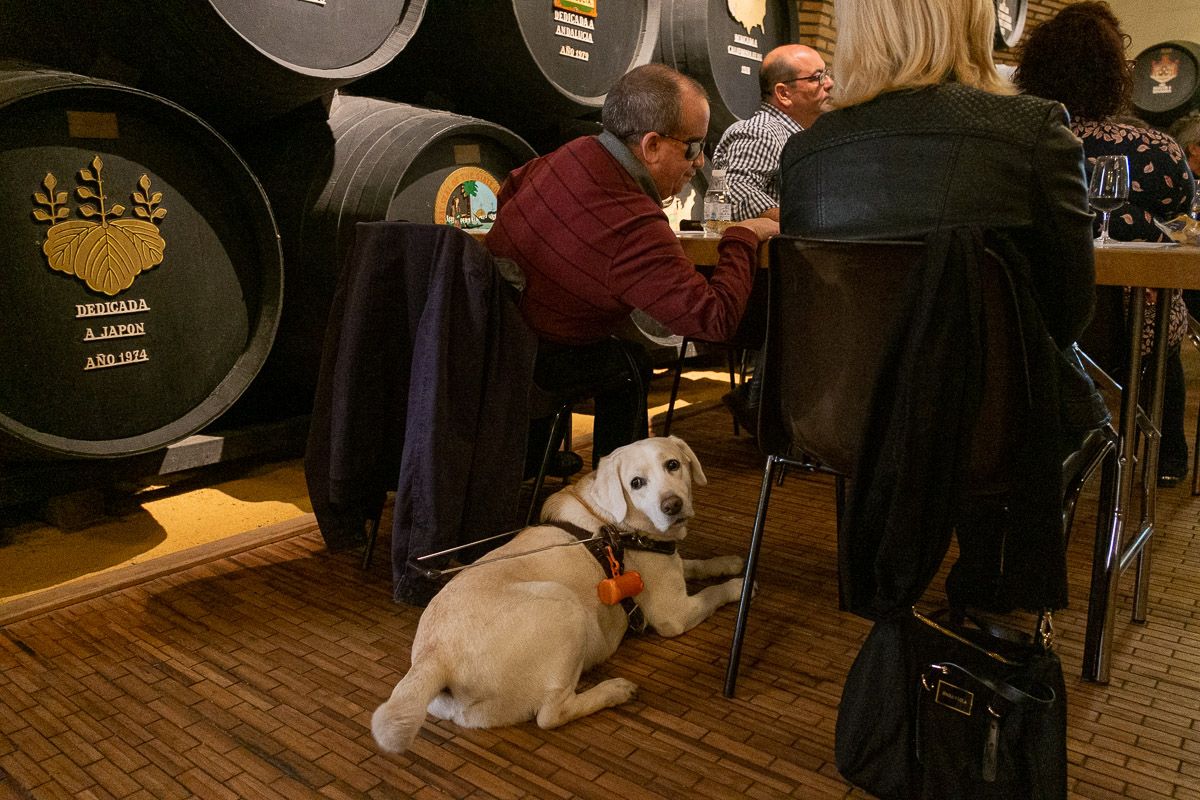 Uno de los asistentes al encuentro de la ONCE con el Consejo Regulador. FOTO: MANU GARCÍA.