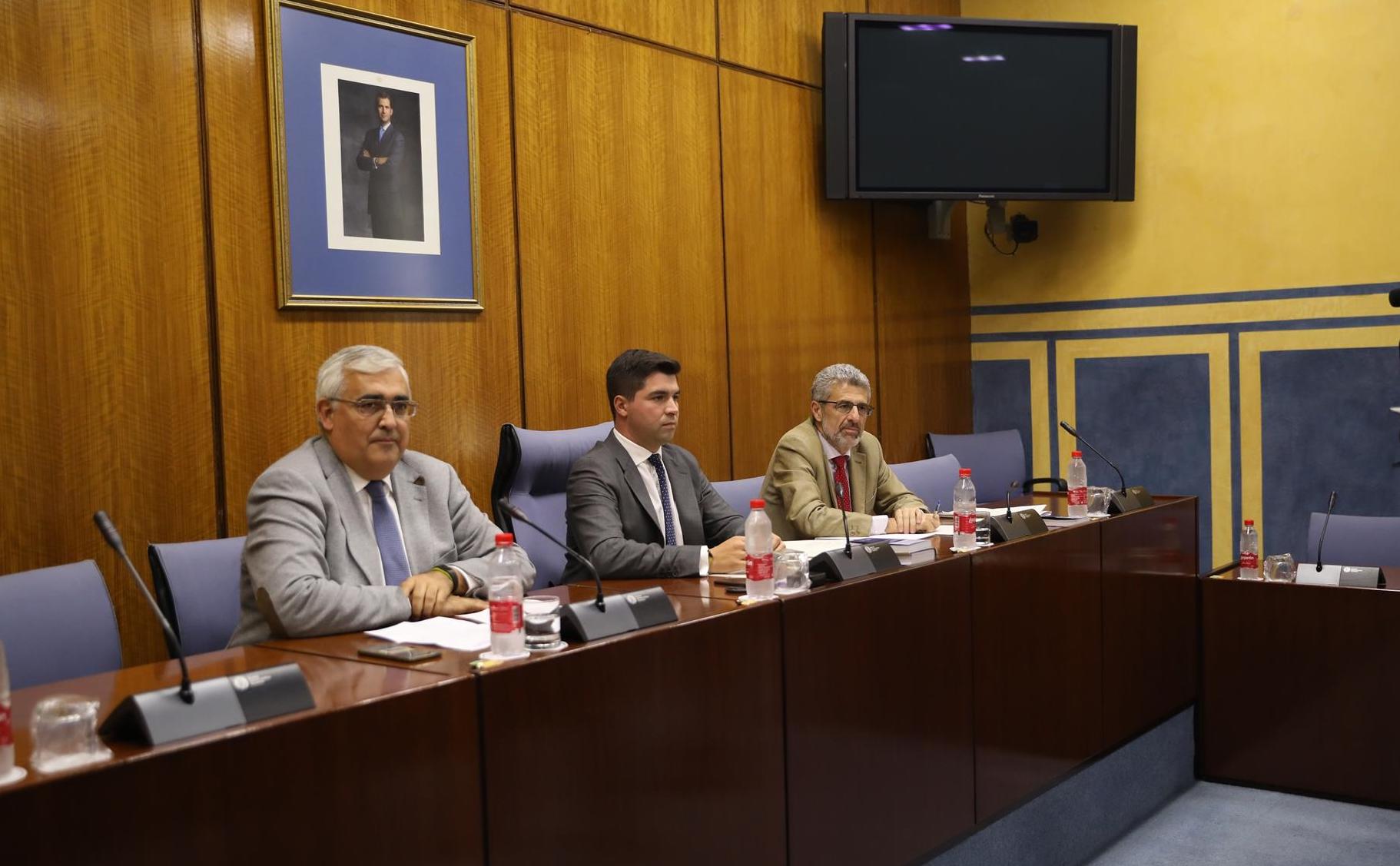 El exconsejero Antonio Ramírez de Arellano, ante la comisión de la Faffe.