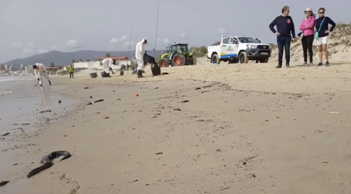 Hidrocarburos en playas del Campo de Gibraltar.