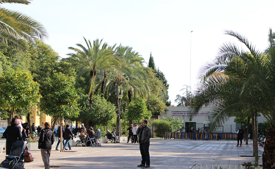 Una imagen reciente de Pino Montano. 