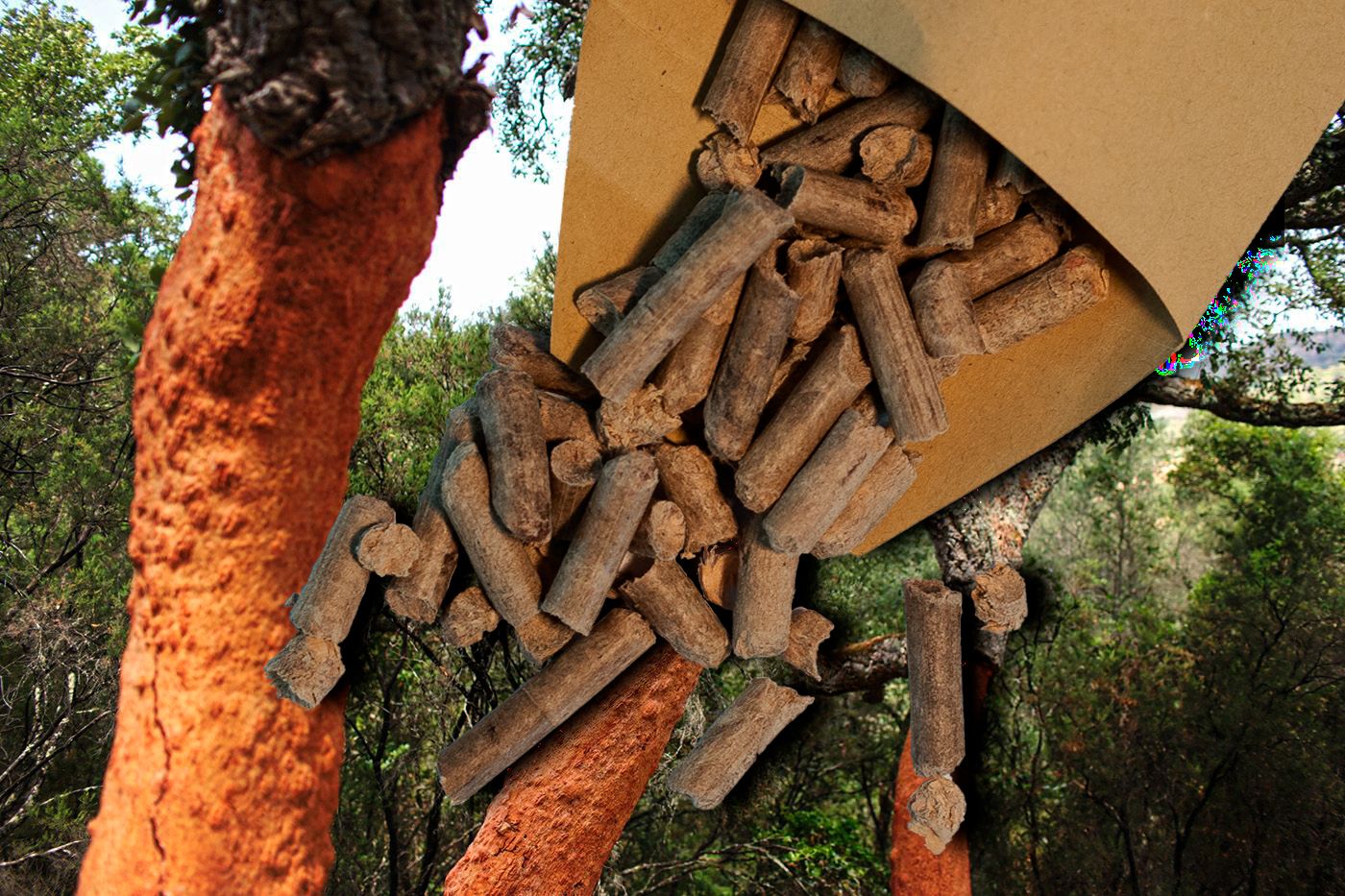 En la imagen de fondo, alcornoques en los Montes de Propios. En primer término, pellets de pino piñonero de la primera experiencia piloto que ha realizado Ememsa.