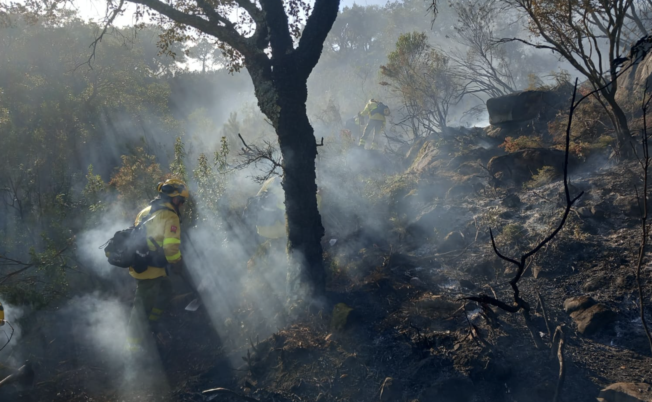 Efectivos del Infoca estabilizan el incendio forestal en Jimena, este martes, en una imagen del Plan Infoca de la Junta de Andalucía.