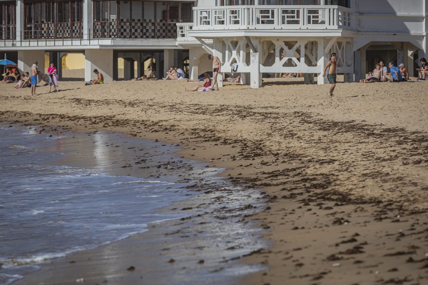 Aspecto de la playa de La Caleta, este martes, ante el avance imparable del alga invasora en la costa gaditana.