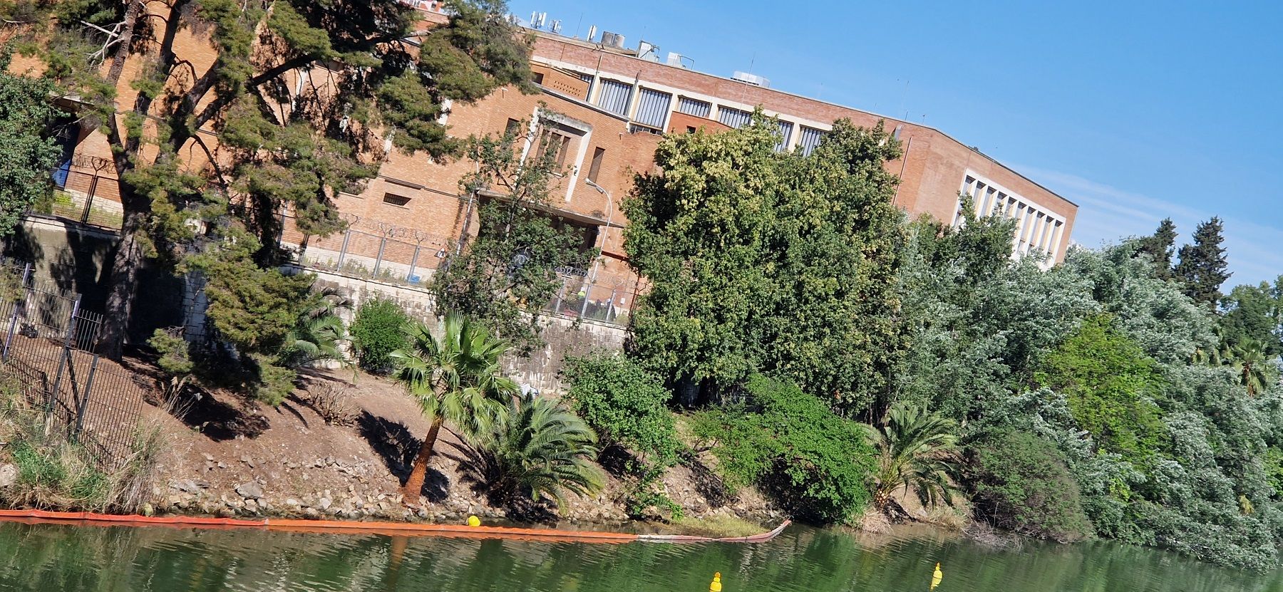 El talud en la rivera del Guadalquivir sobre la que se creará la pasarela.