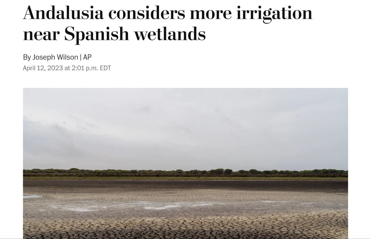 'The Washington Post' sobre Doñana. 'The Washington Post' sobre Doñana.