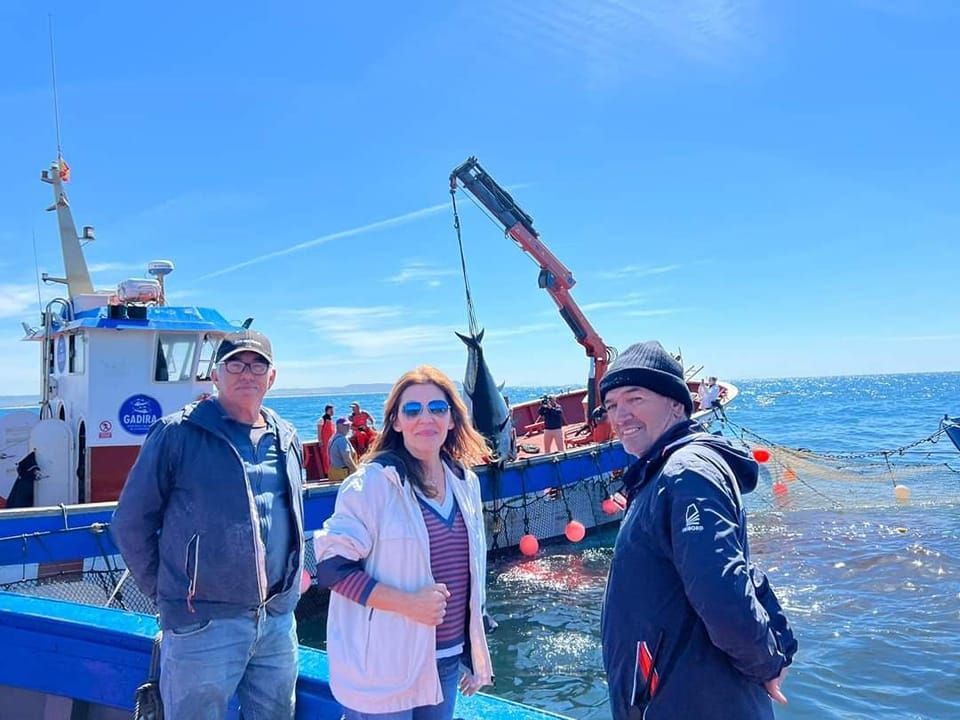 Primera levantá en la almadraba de Conil: medio centenar de ejemplares de atún rojo.