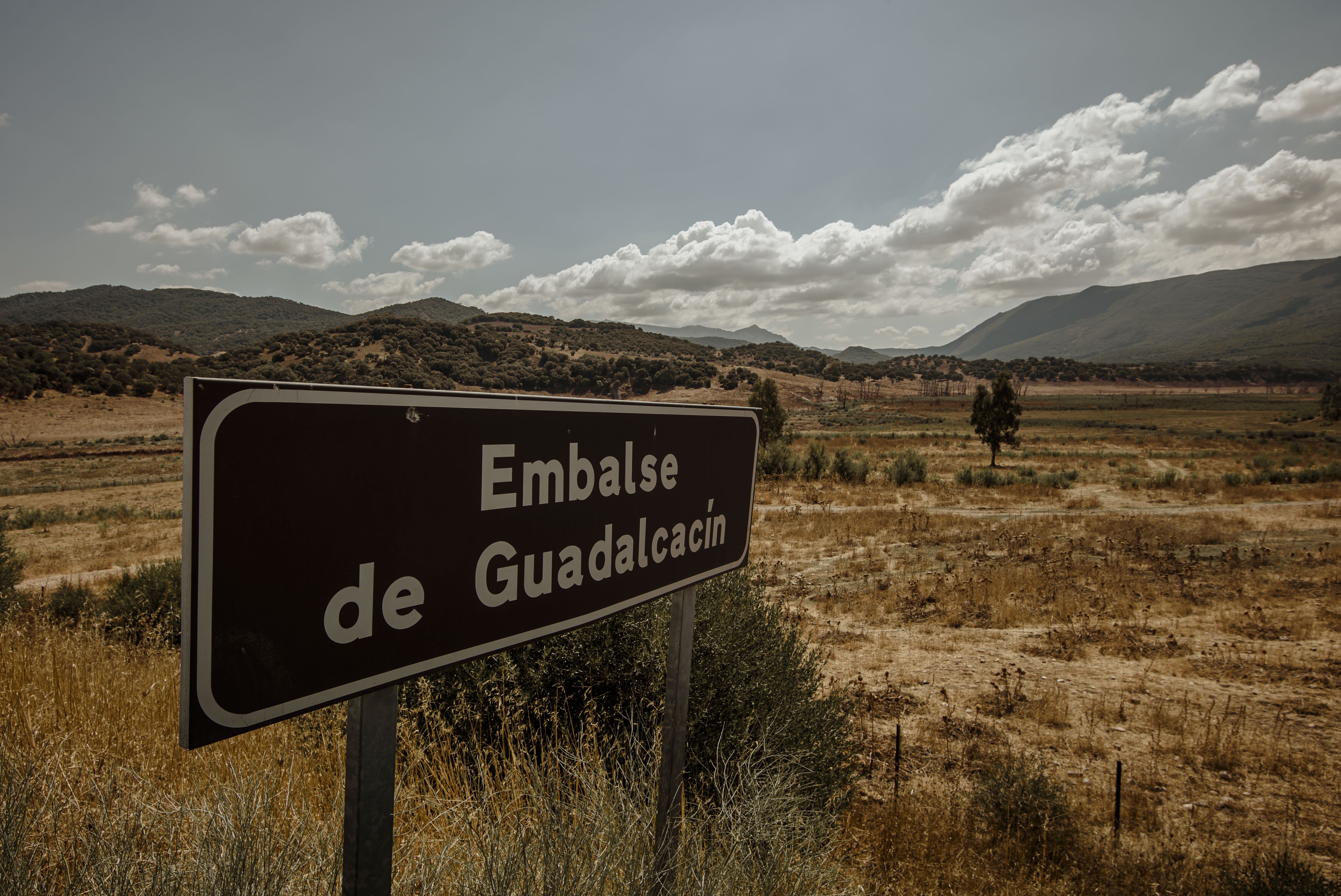 El mayor embalse de Cádiz, Guadalcacín, al 26%: peligran los cultivos de algodón, viñedo y arroz.